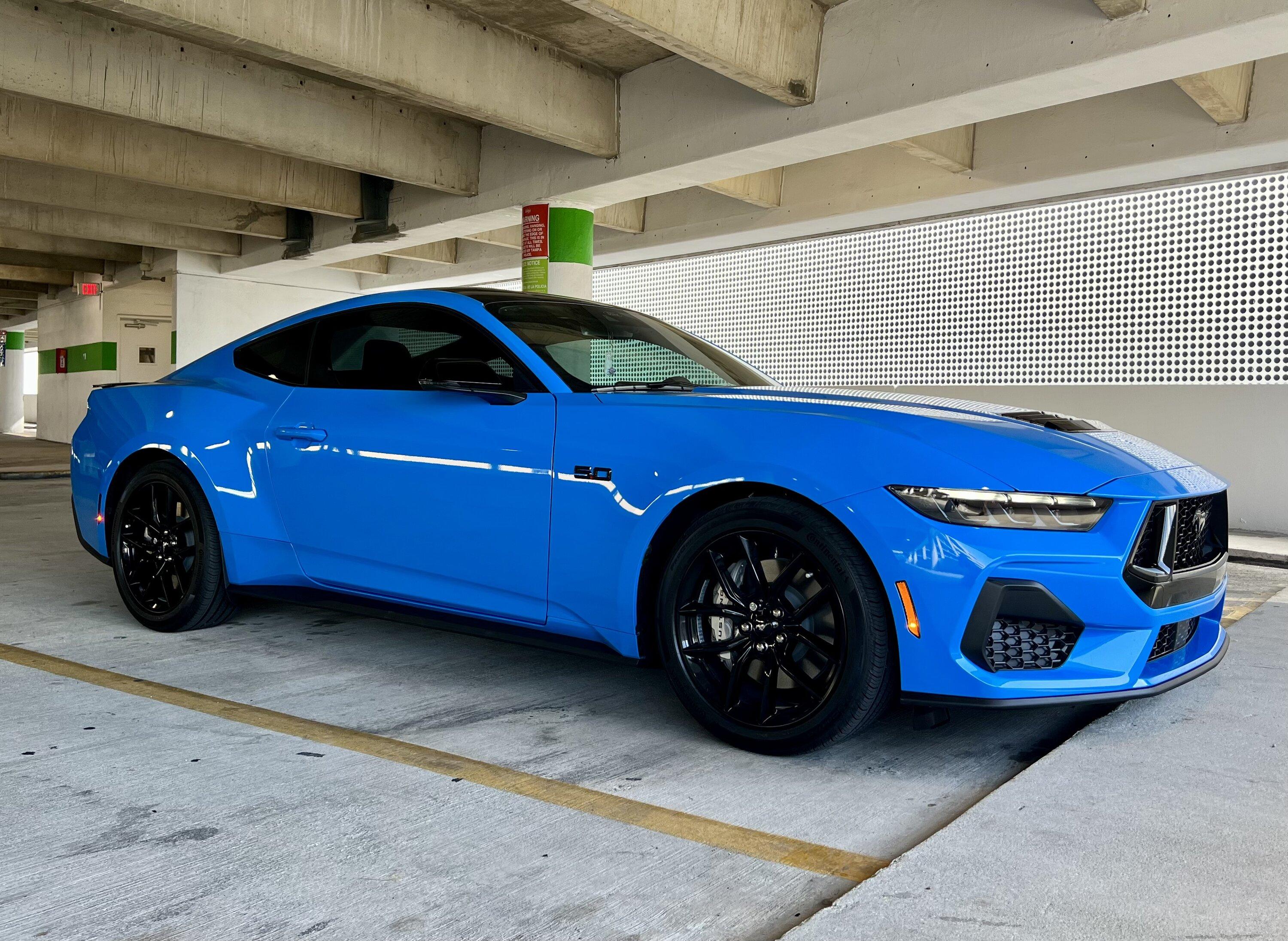 S650 Mustang Official GRABBER BLUE Mustang S650 Thread IMG_5830