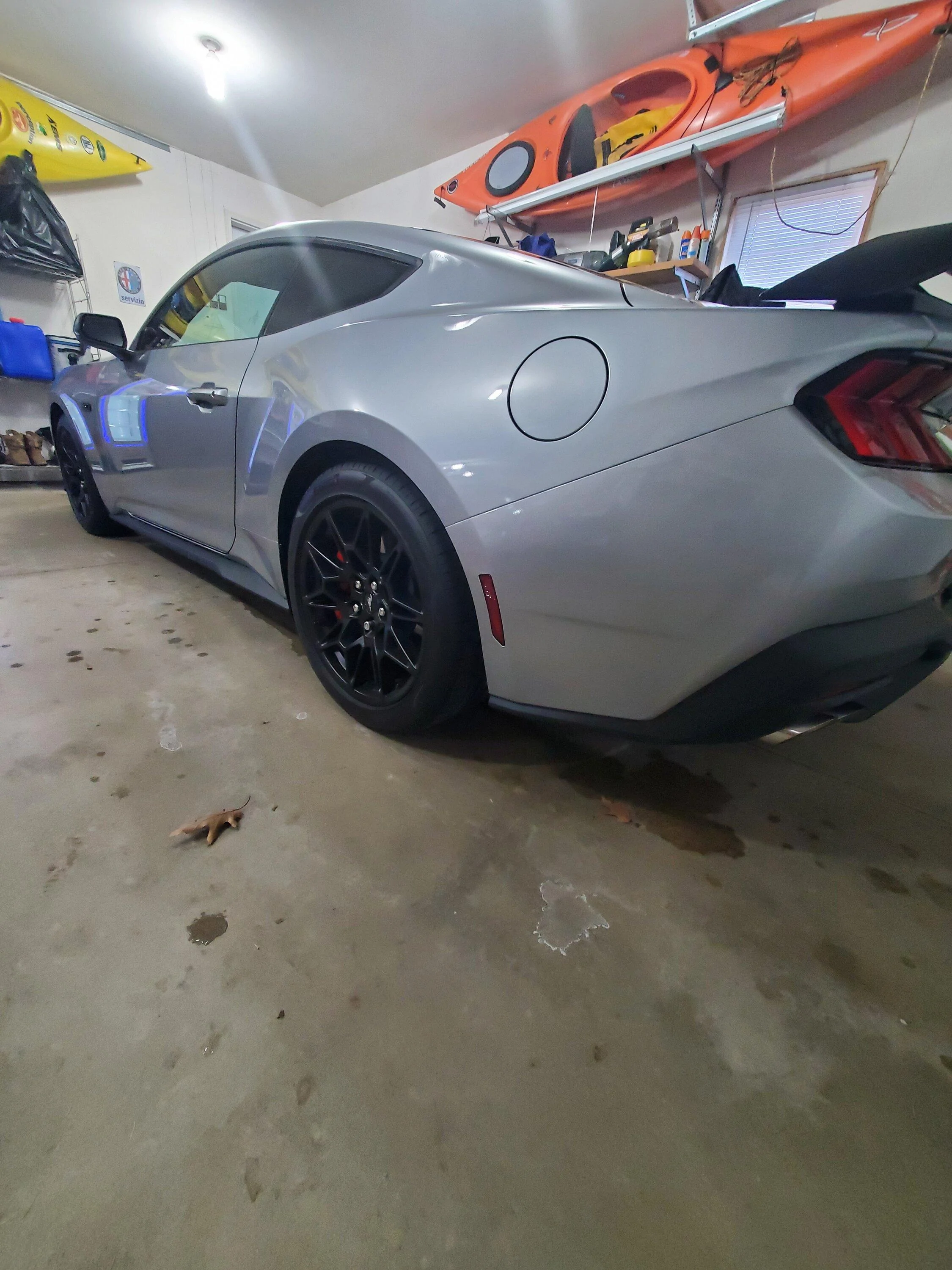 S650 Mustang Official ICONIC SILVER Mustang S650 Thread 20231129_135753