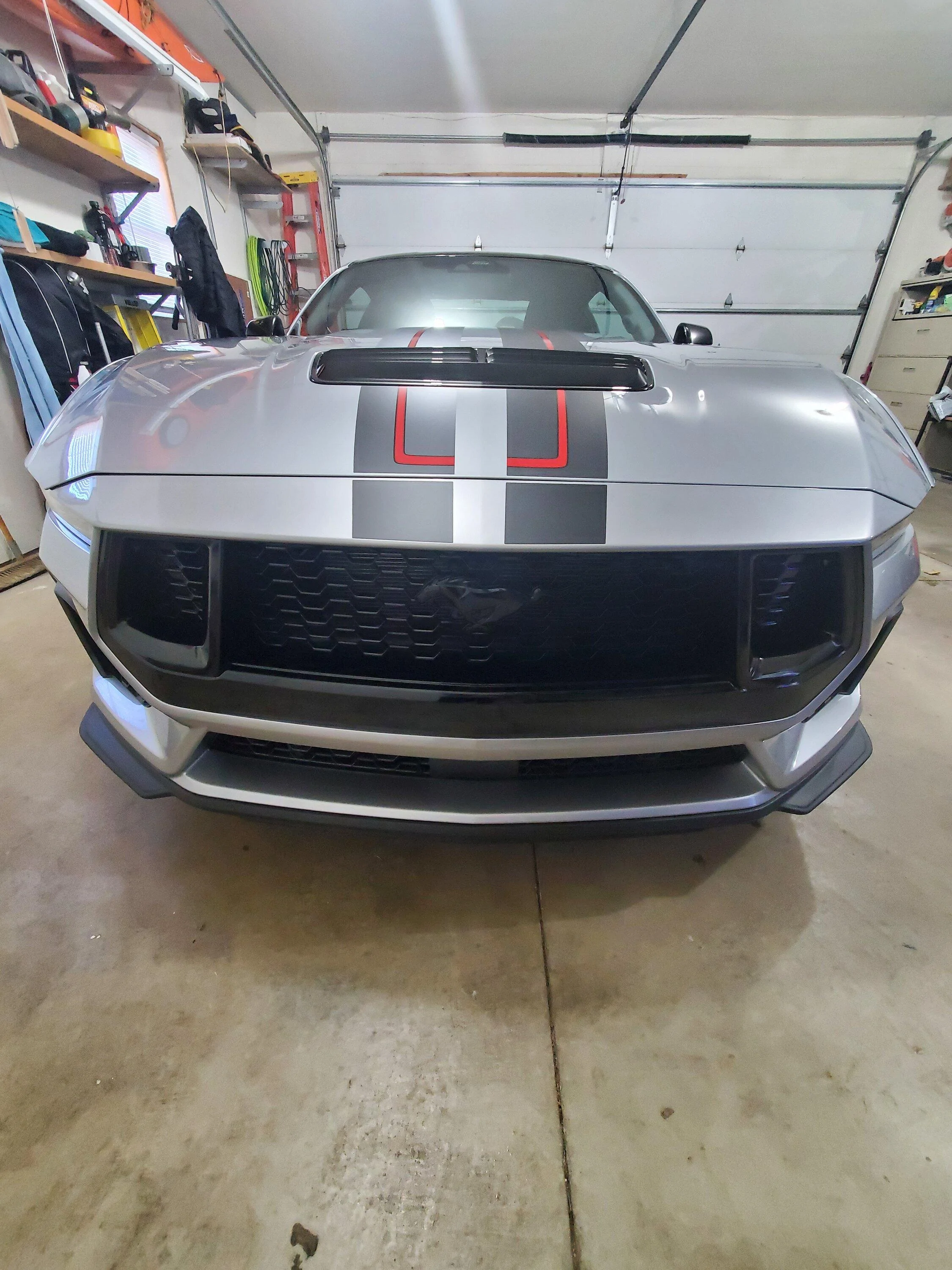 S650 Mustang Official ICONIC SILVER Mustang S650 Thread 20231129_135851