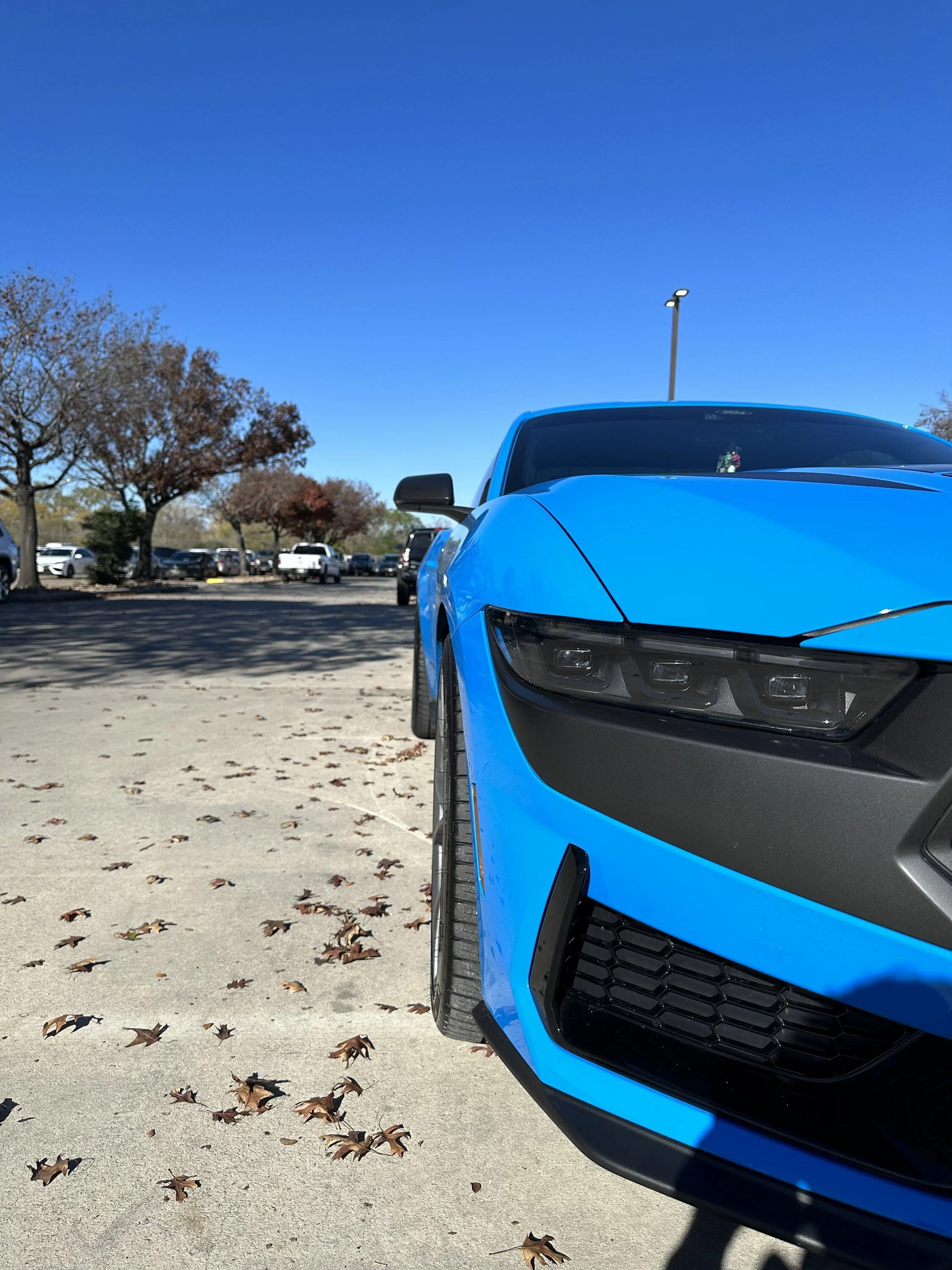 IMG_0373.webp