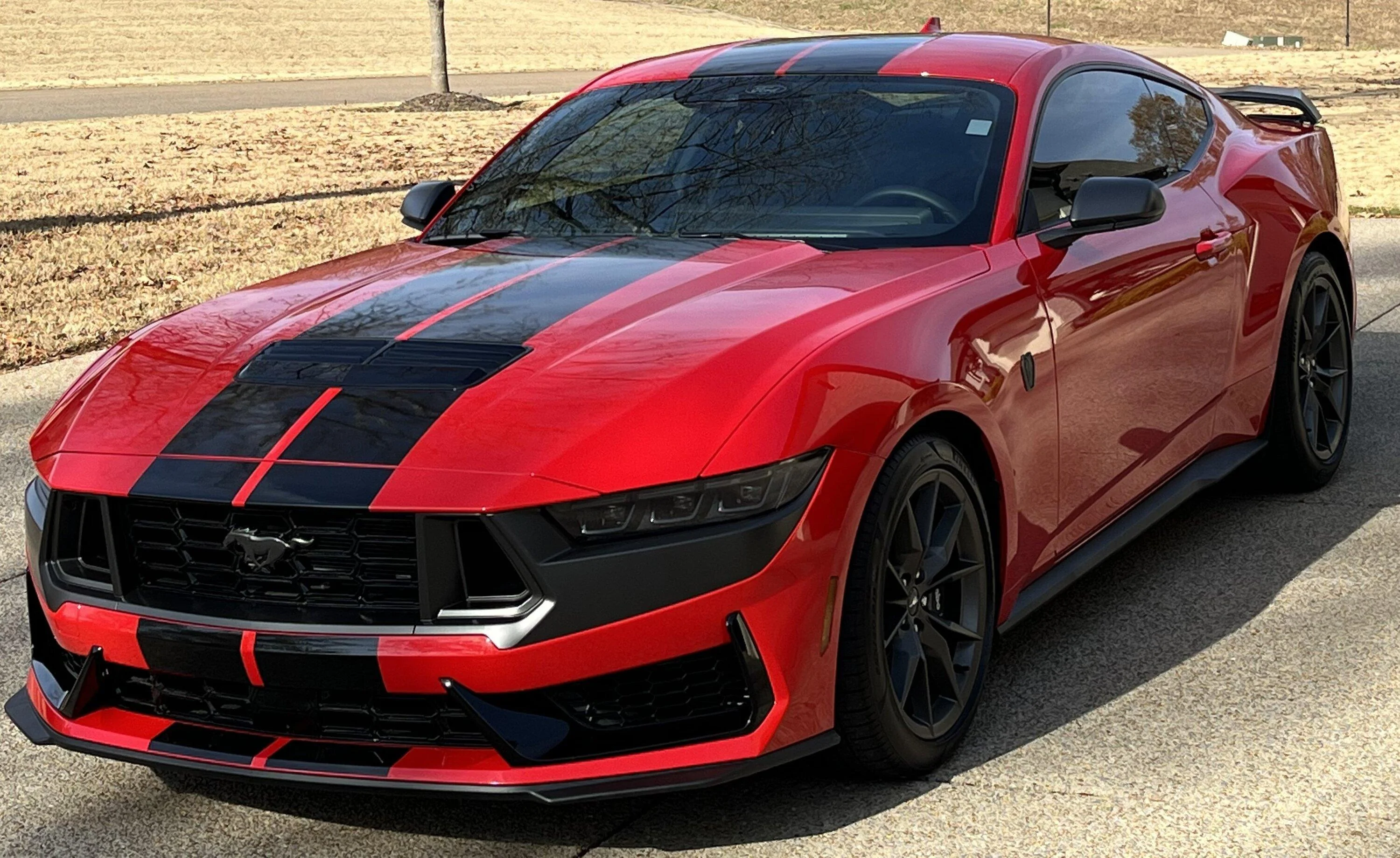 S650 Mustang It was time to stripe the car DH