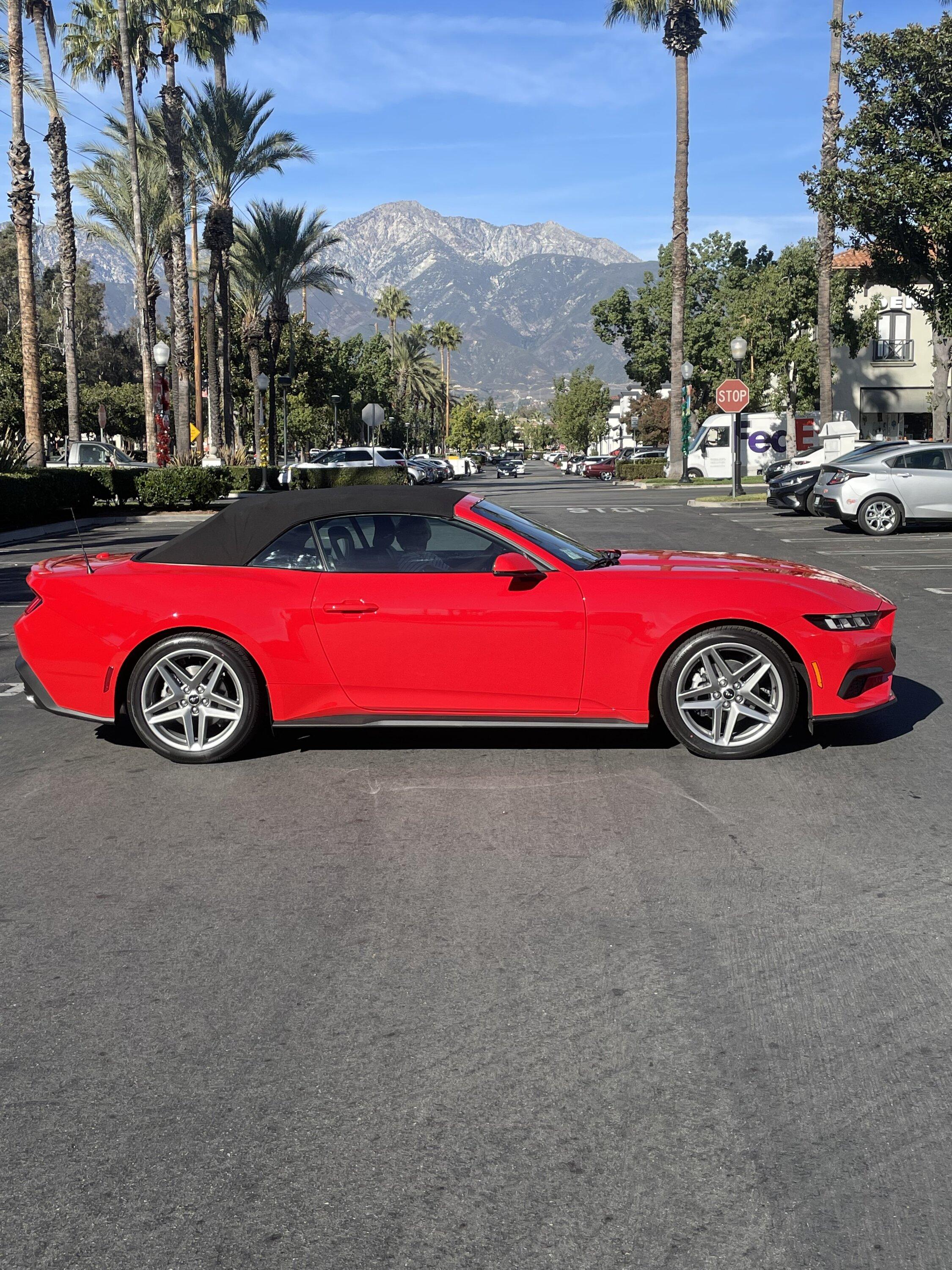 S650 Mustang Long wait IMG_1812