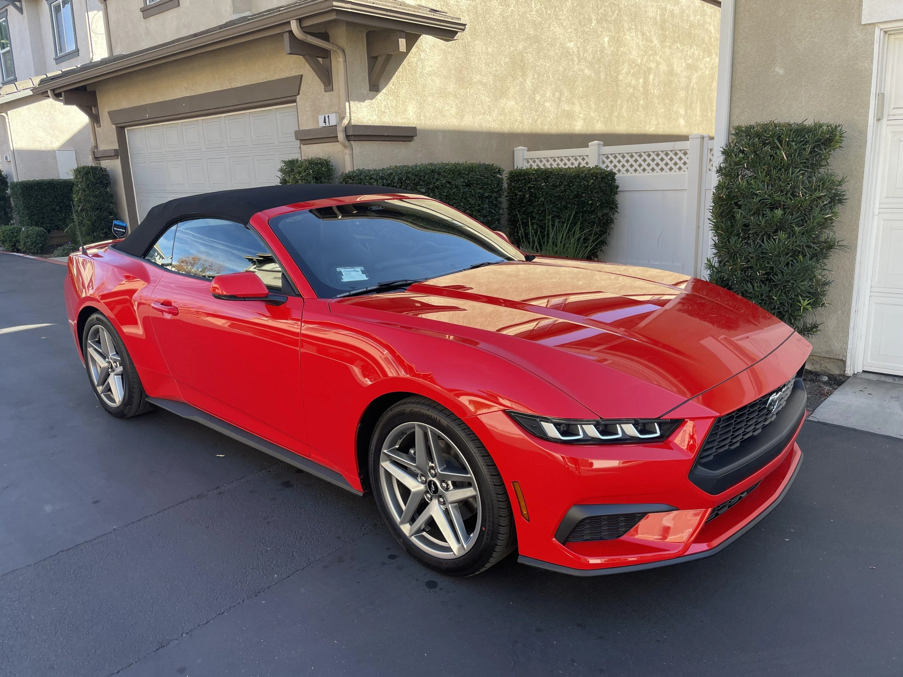 S650 Mustang Long wait IMG_1806