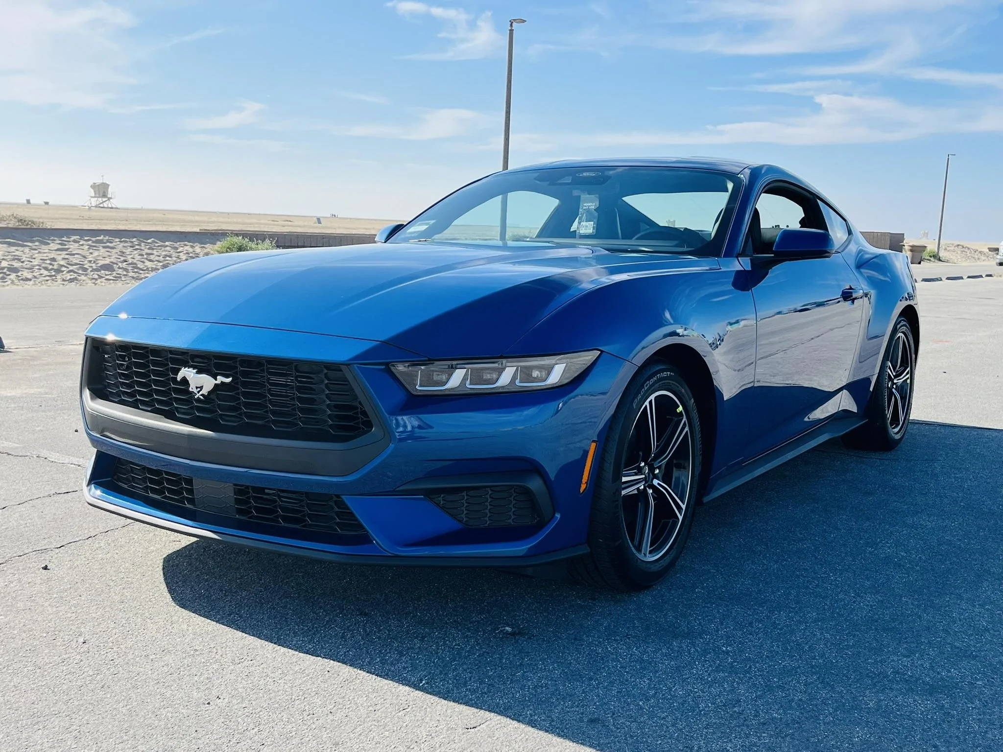 S650 Mustang Official ATLAS BLUE Mustang S650 Thread IMG_1759
