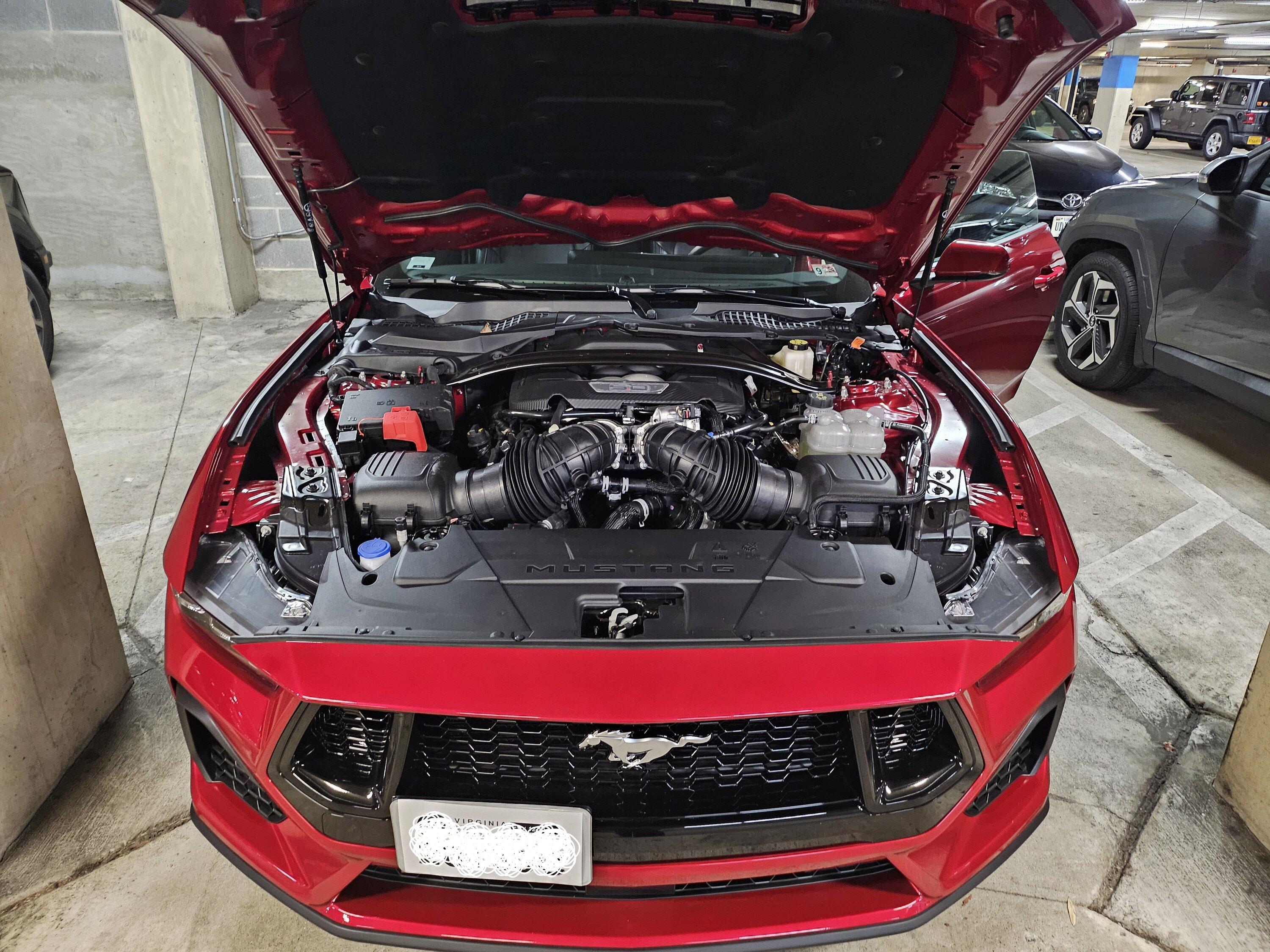 S650 Mustang Anyone have a better solution for front license plate - no drilling? 20231229_161043