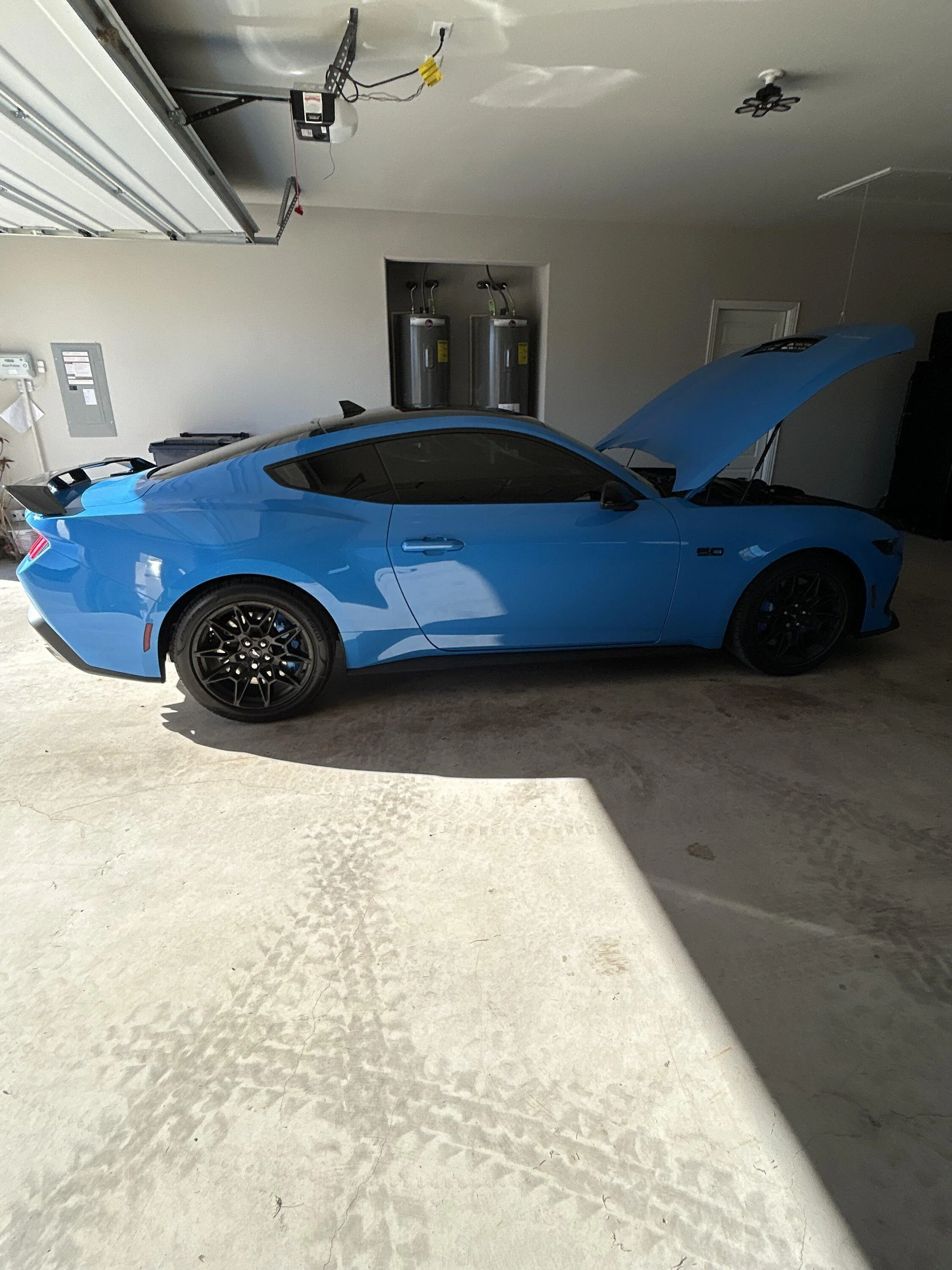 S650 Mustang Official GRABBER BLUE Mustang S650 Thread IMG_0604