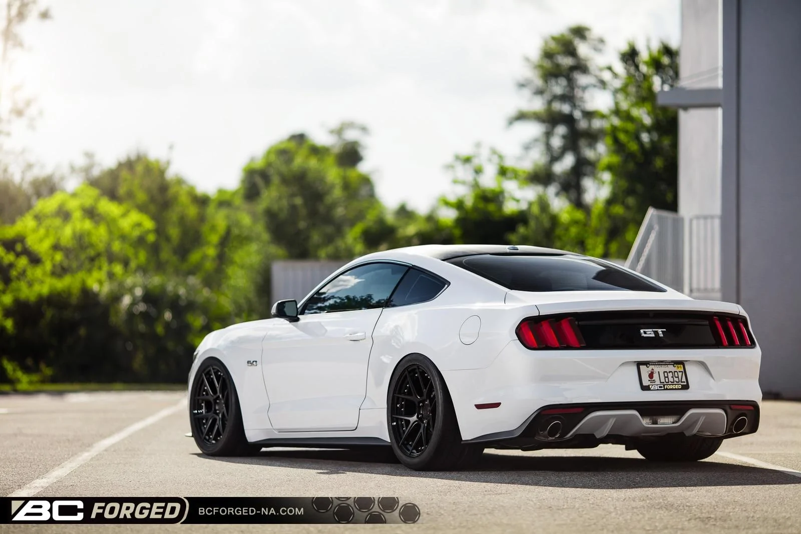 meaty-mustang-stn-blk-gls-blk-19-hcs02s-00002.webp