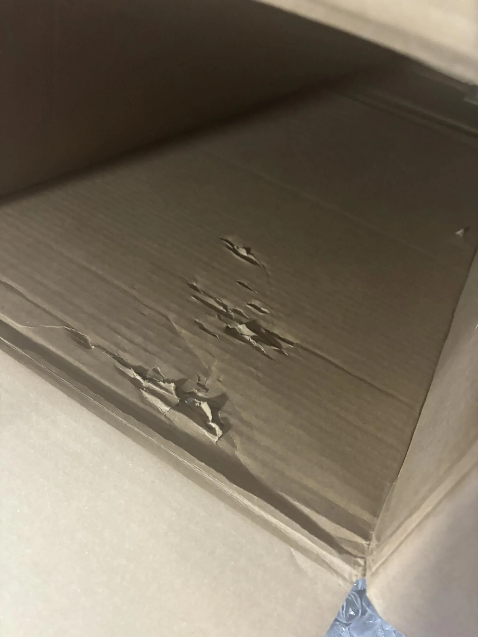 S650 Mustang RTR Grille Damaged on delivery TWICE RTR 2