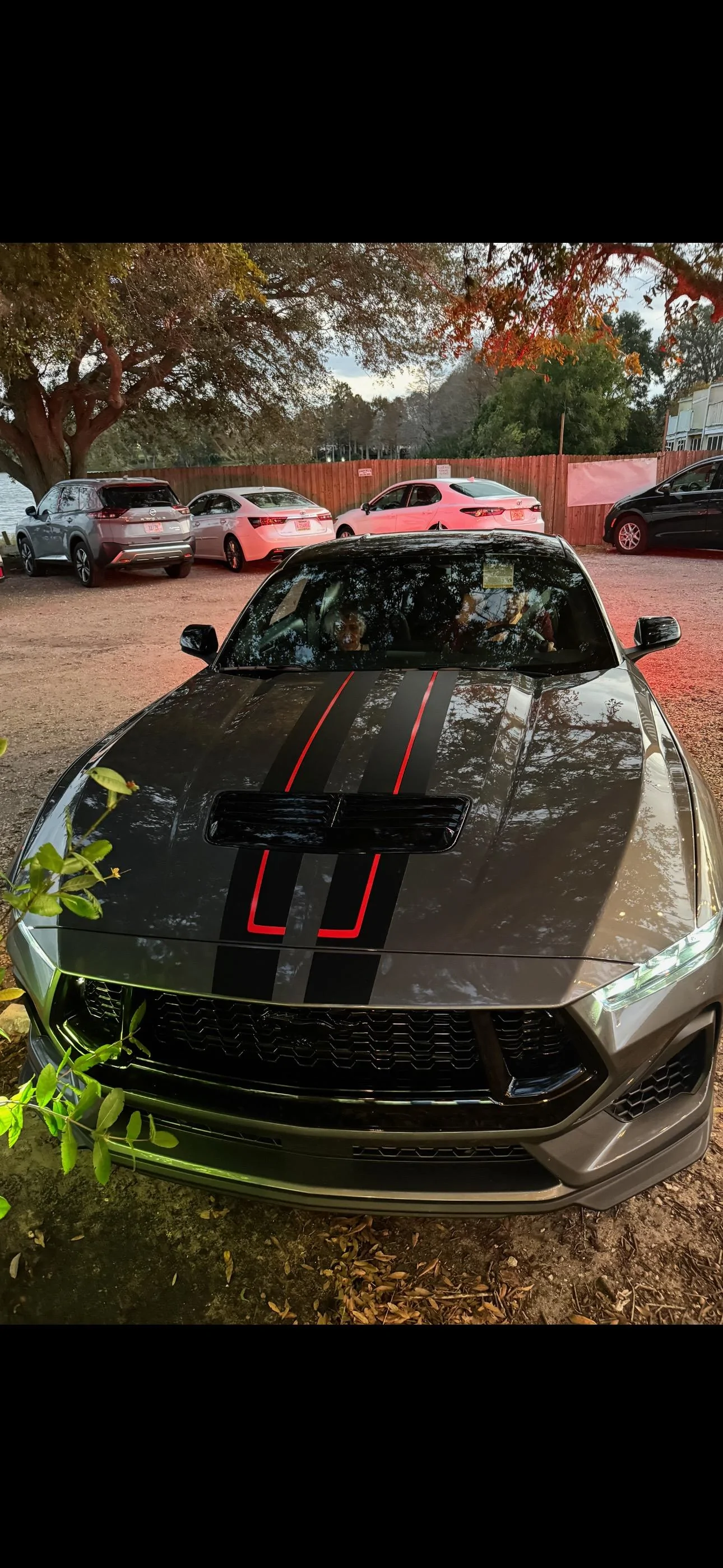 S650 Mustang Anyone in north/central FL getting a '24? Mustang