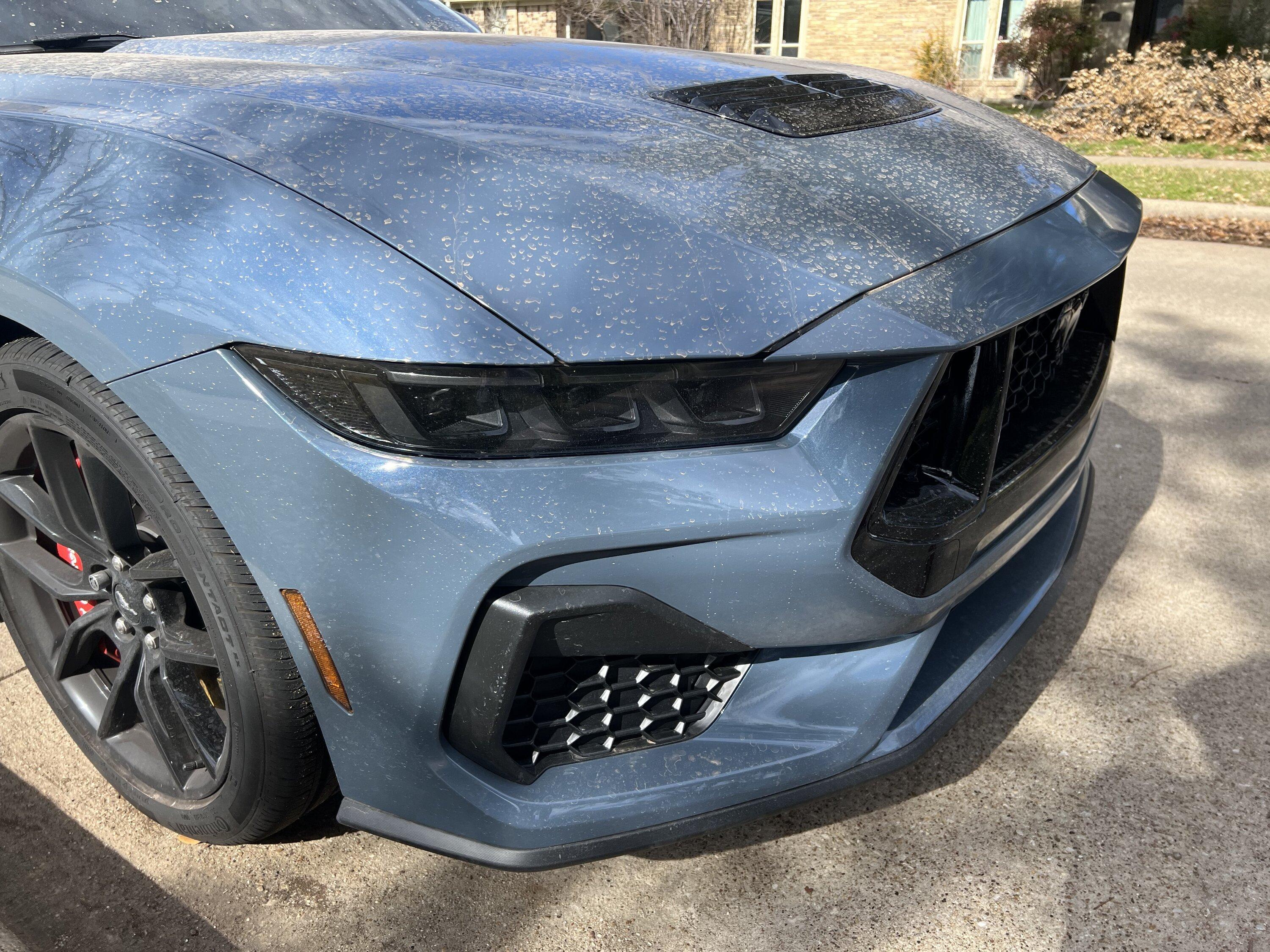 S650 Mustang Got backed into, how bad does the damage look? Next steps? ?hash=9f5267566731cf2d61cd3ac750c1ca4d
