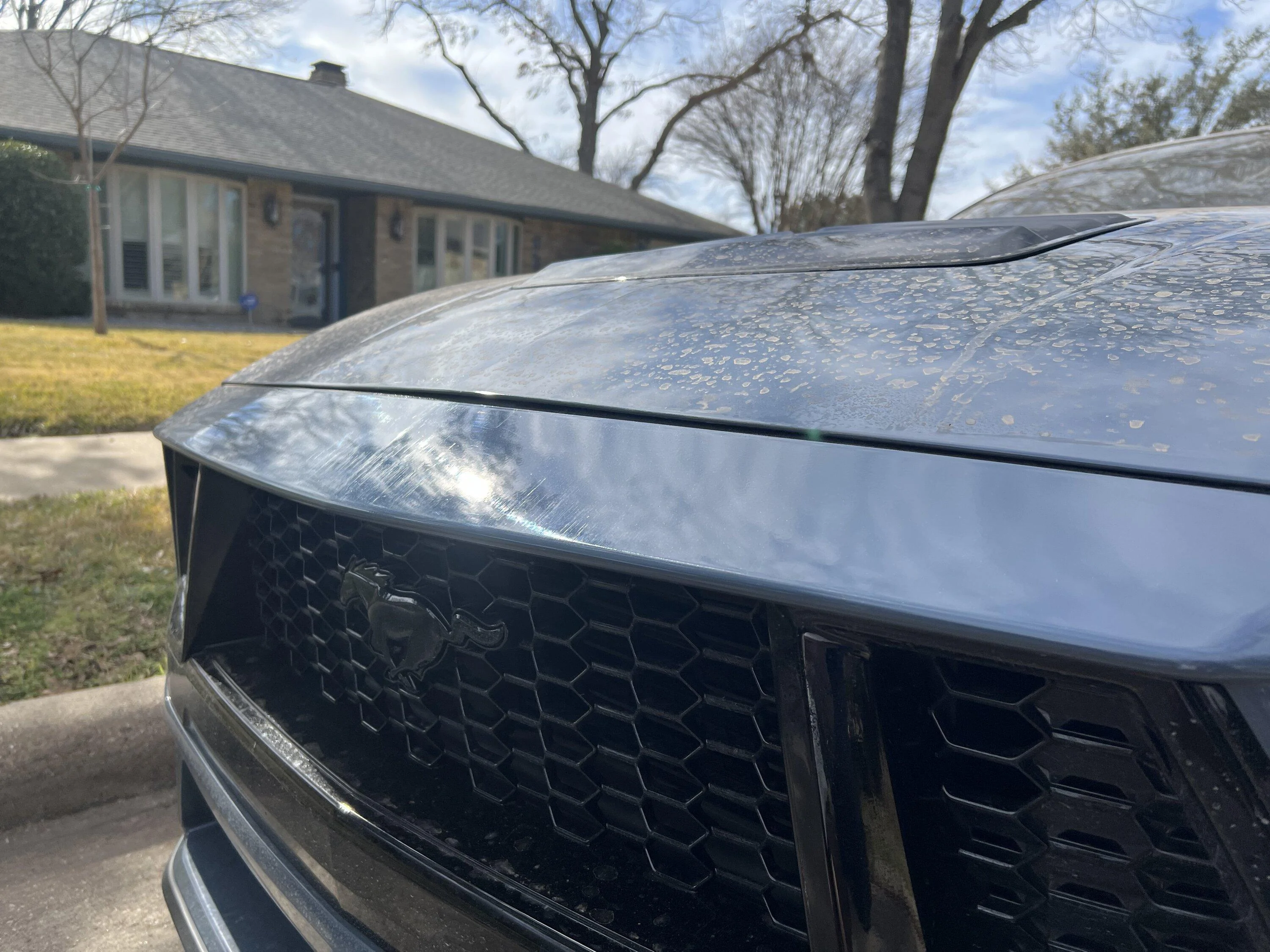 S650 Mustang Got backed into, how bad does the damage look? Next steps? IMG_6763
