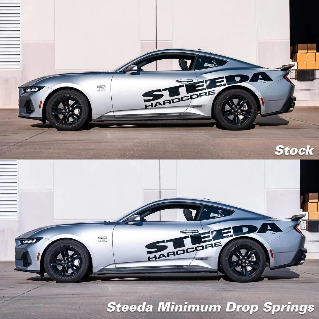 stock-vs-mindrop__04789.jpg