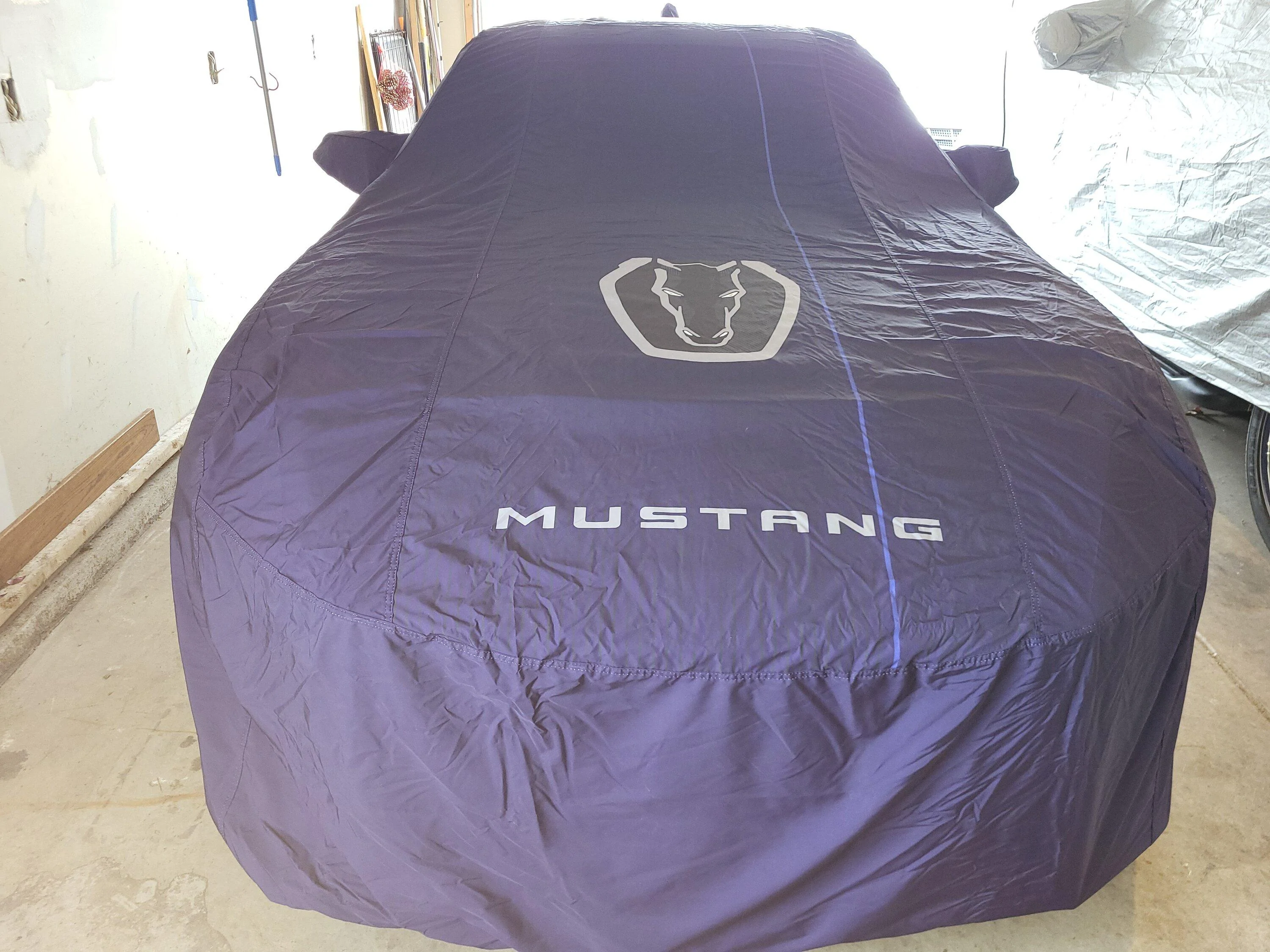 S650 Mustang Need new/different rims for my DH 20240105_104516