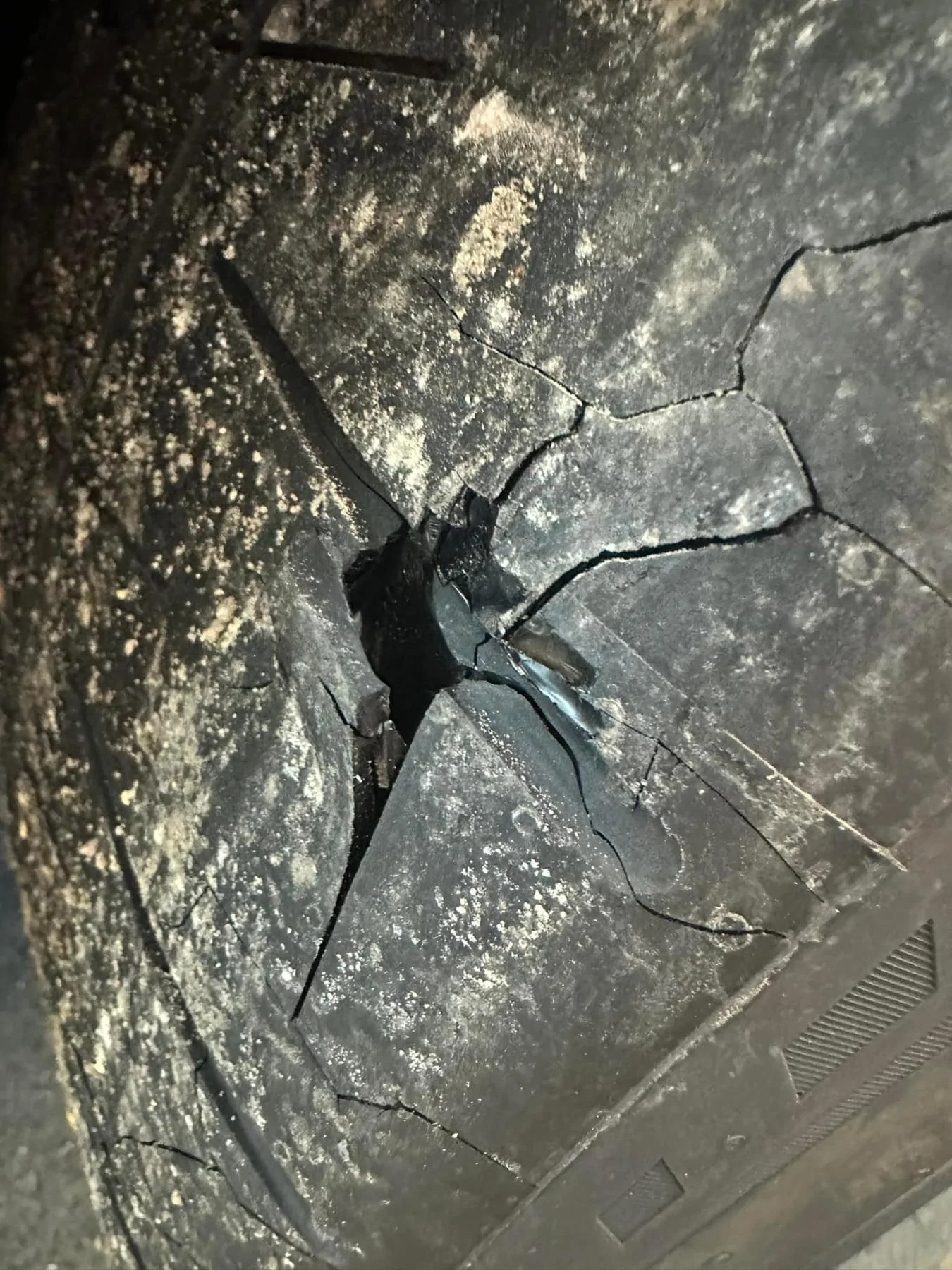 S650 Mustang Trofeo RS tires Cracked from shipping IMG_6797