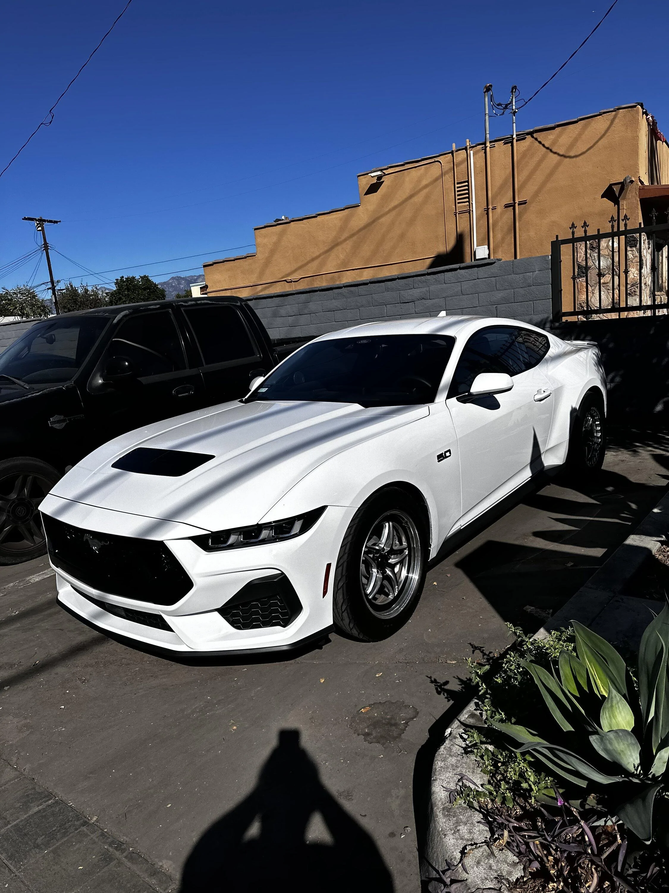 S650 Mustang Oxford White GT: updated 11.5.23 IMG_6912