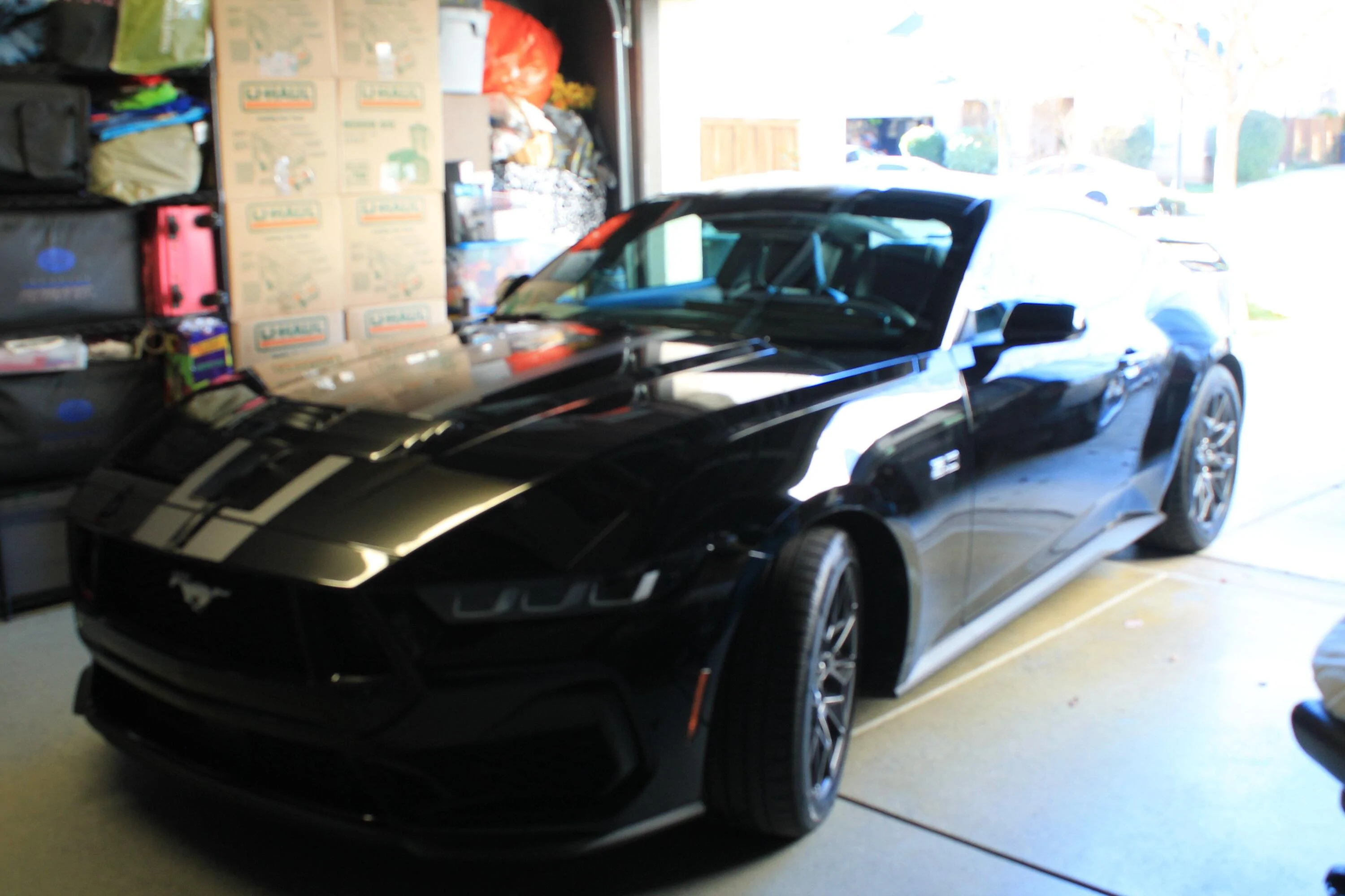 S650 Mustang Checking in from CA IMG_3771