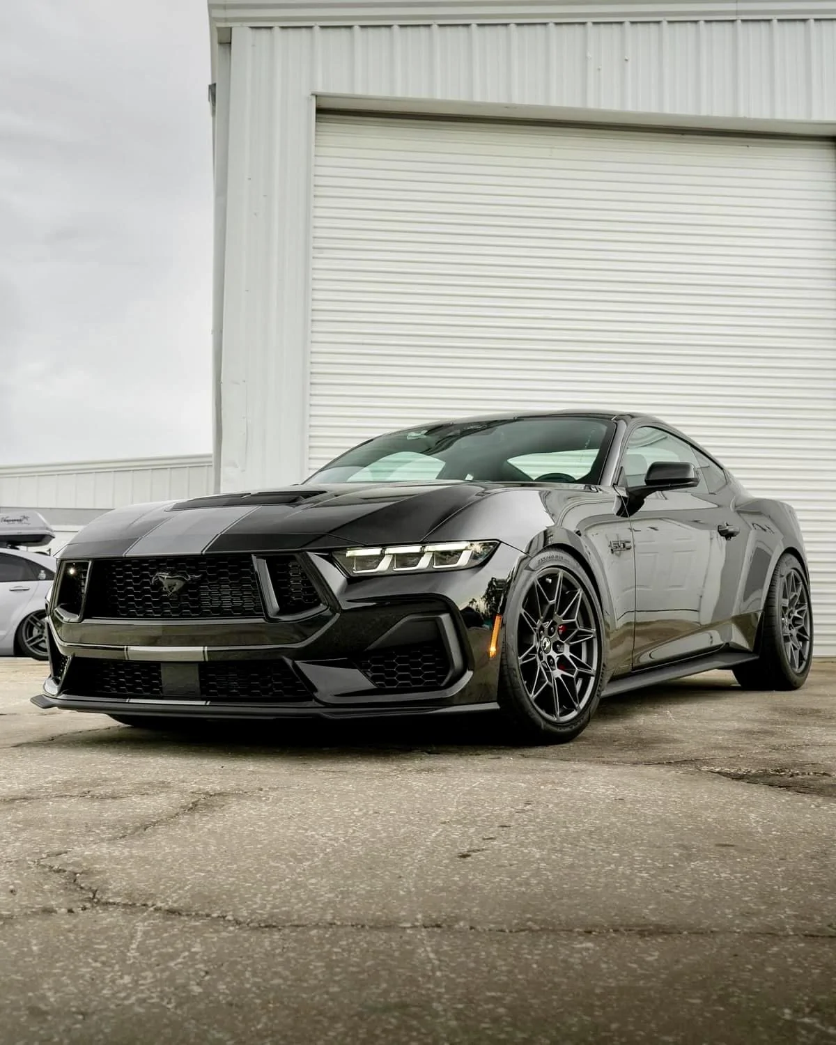 S650 Mustang Custom Super Snake Vinyl Stripes Installed IMG_2088