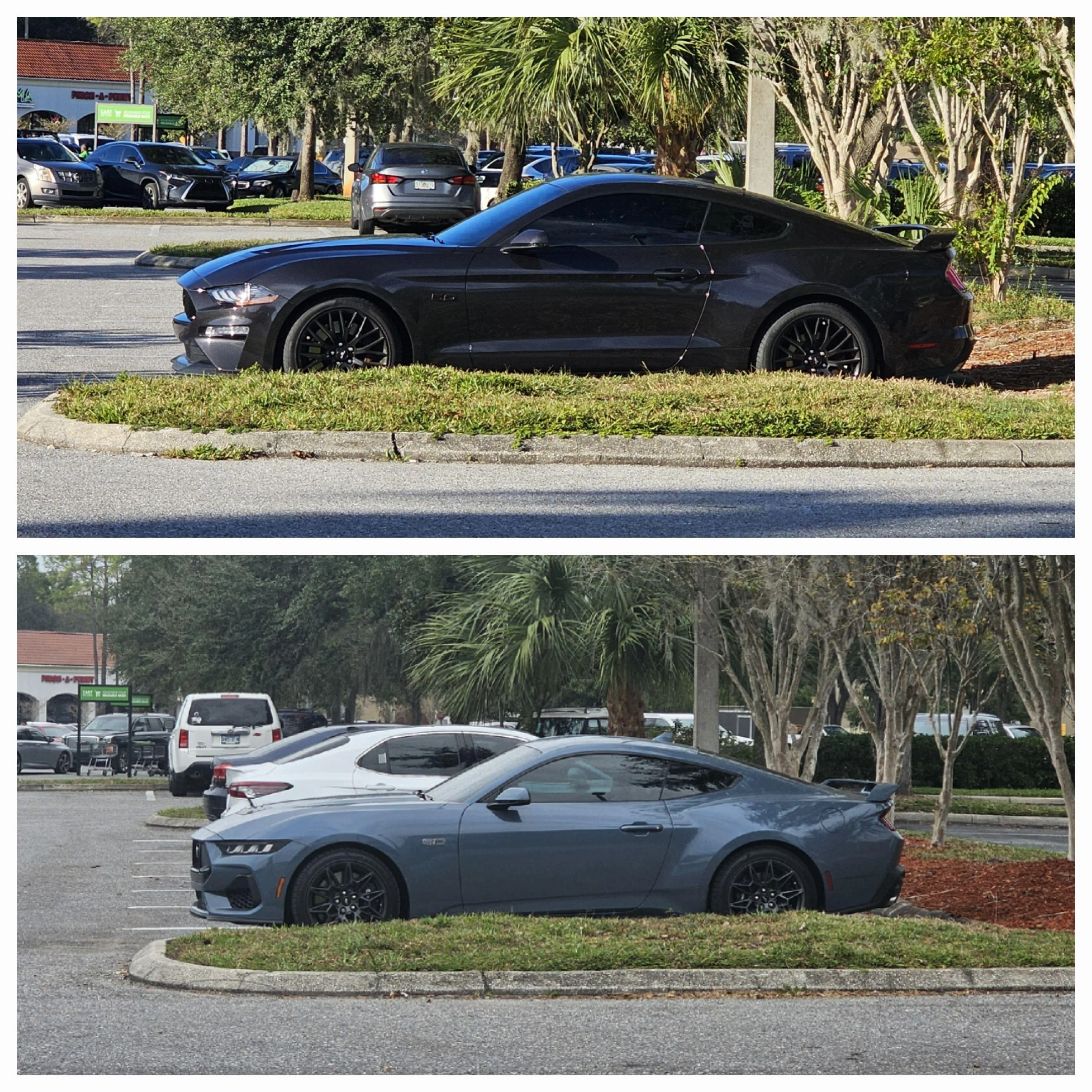 S650 Mustang Anyone taken delivery or seen in real life GT in Vapor Blue? 20231124_152405