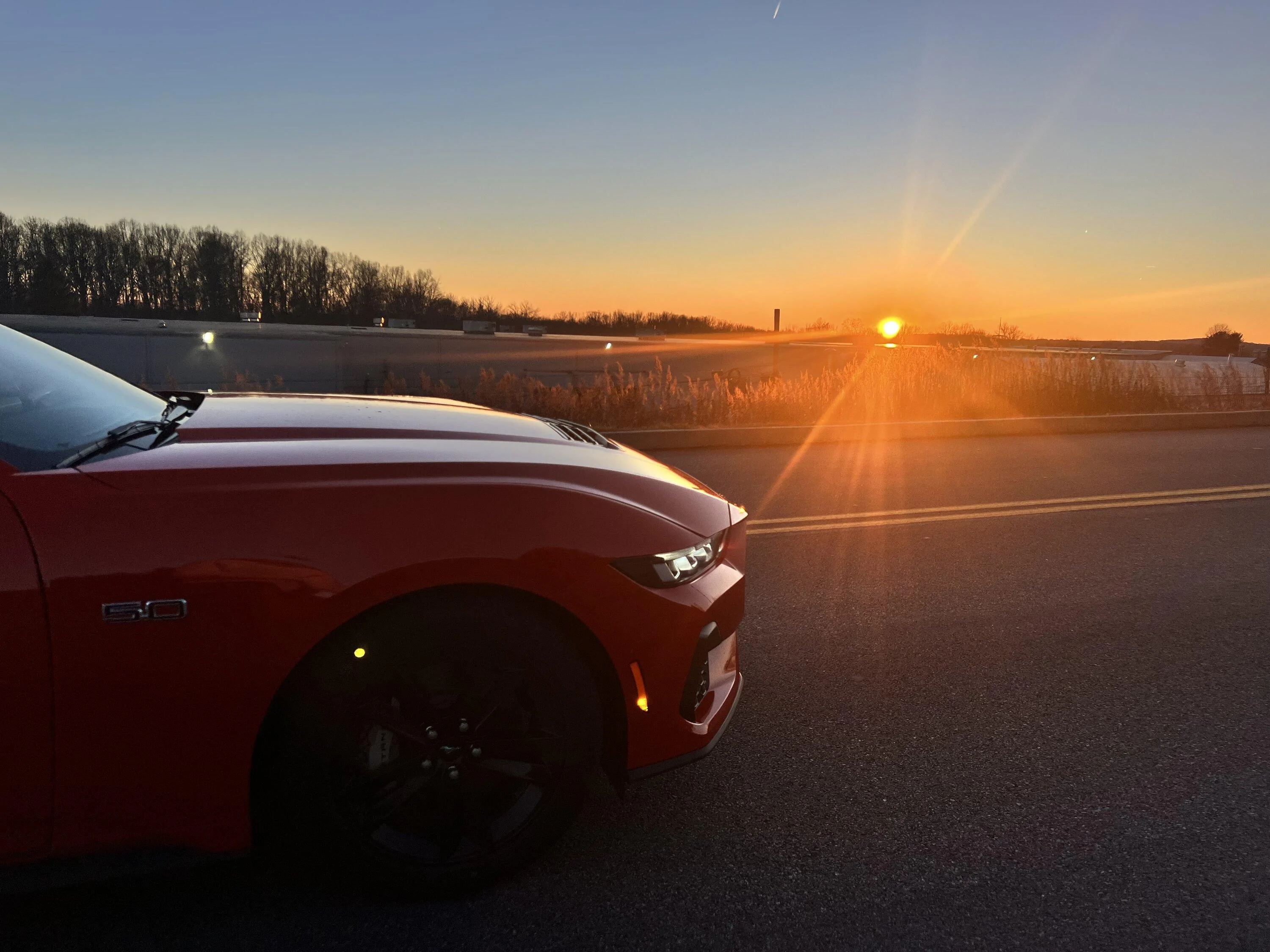 S650 Mustang Beautiful Race Red in the Sunset IMG_6144