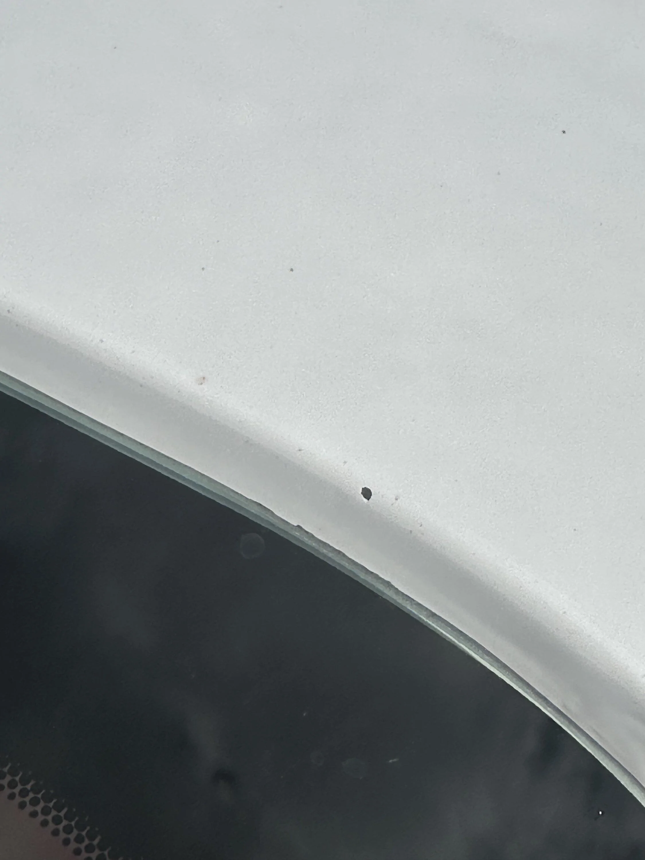 S650 Mustang Paint issues? tempImagevsvtBg