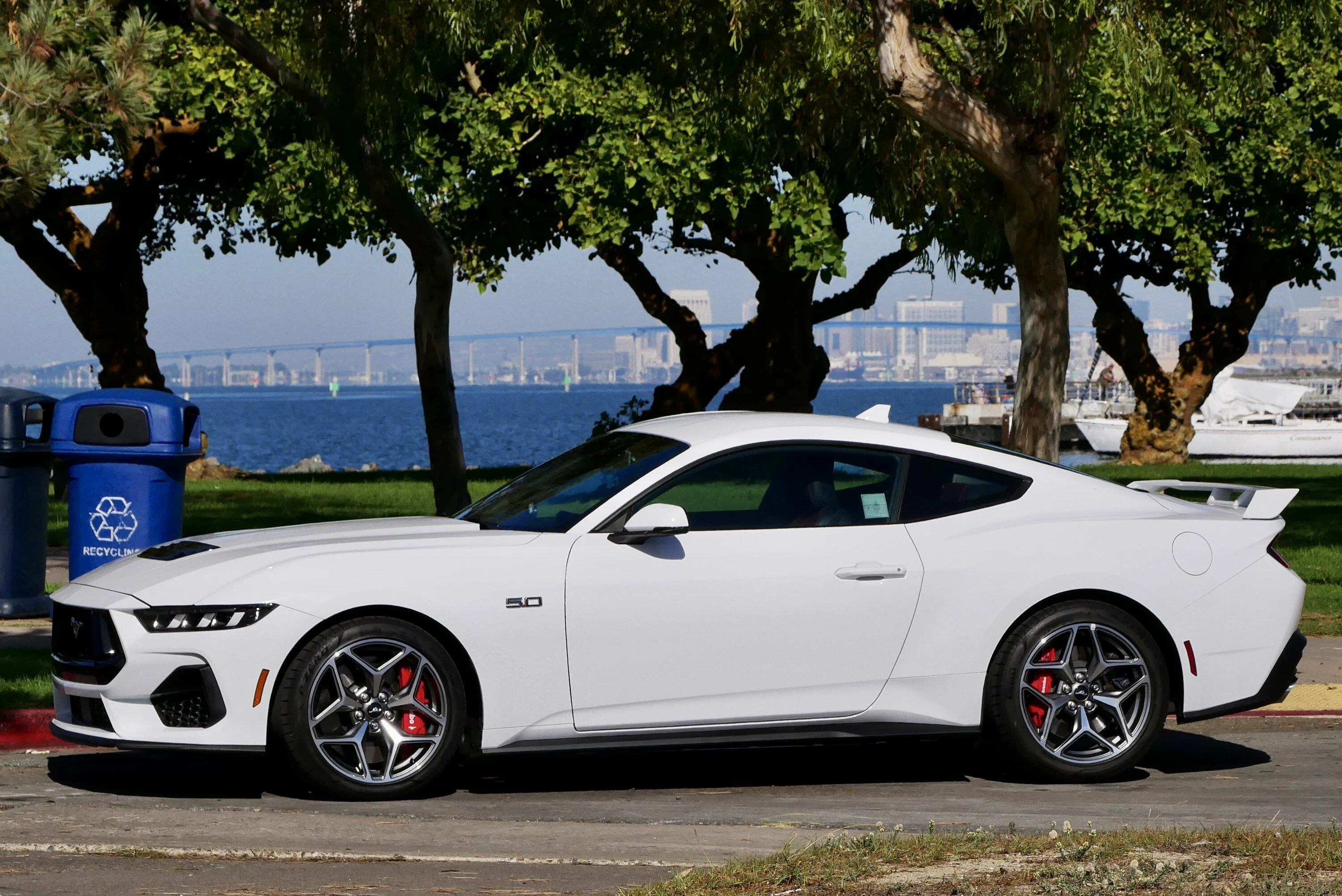 S650 Mustang Official OXFORD WHITE Mustang S650 Thread IMG_2209