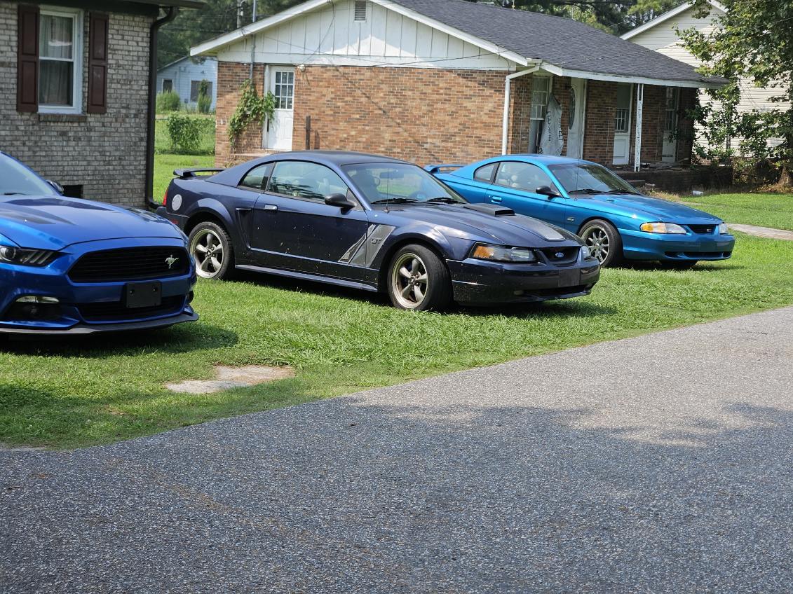 S650 Mustang Introductions & Welcome Thread 👋 Mustang GT ,94,01,17