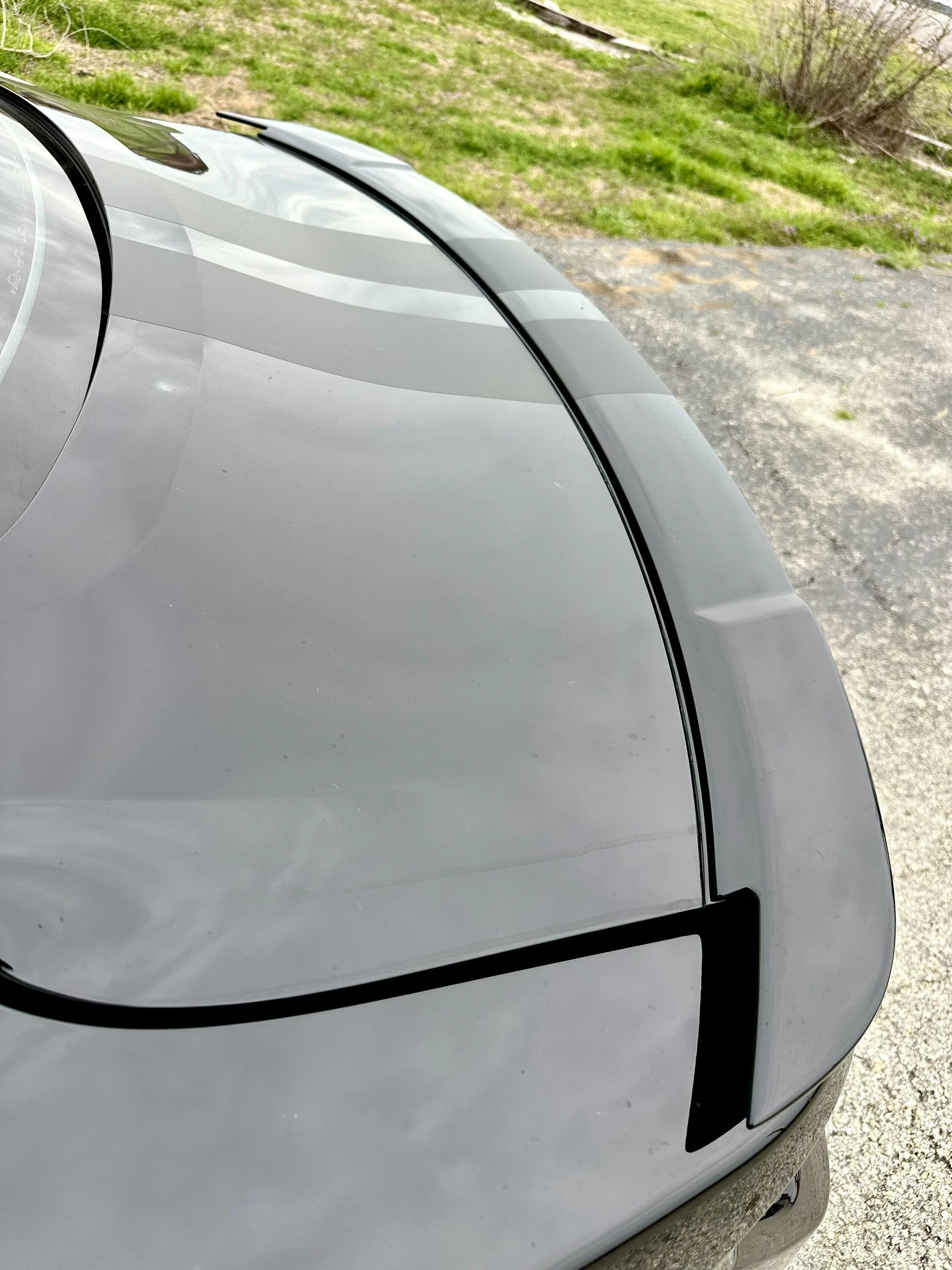 S650 Mustang New spoiler IMG_1122