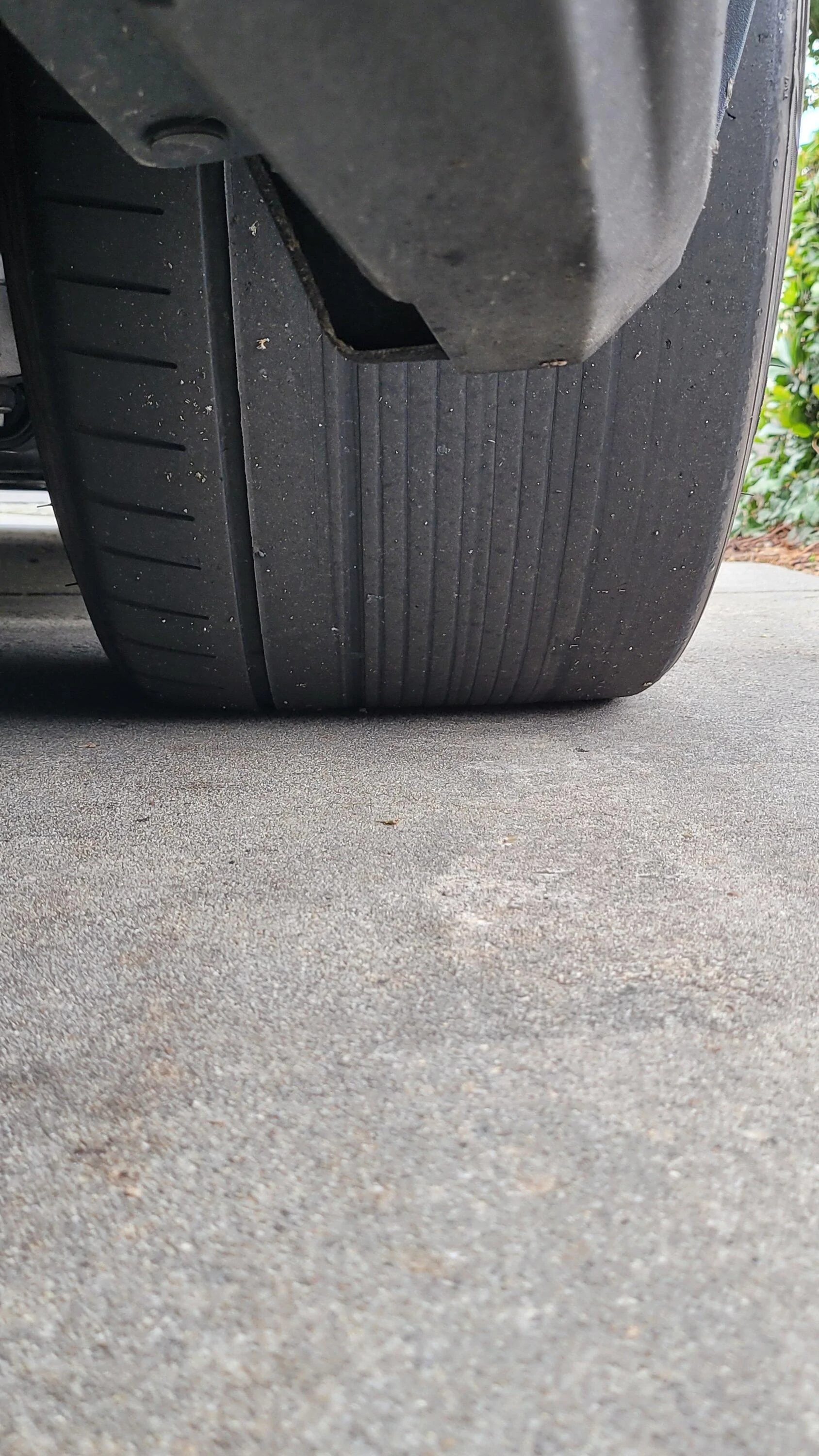 S650 Mustang Tread wear issue ? What is your recommendation? 20240115_113359