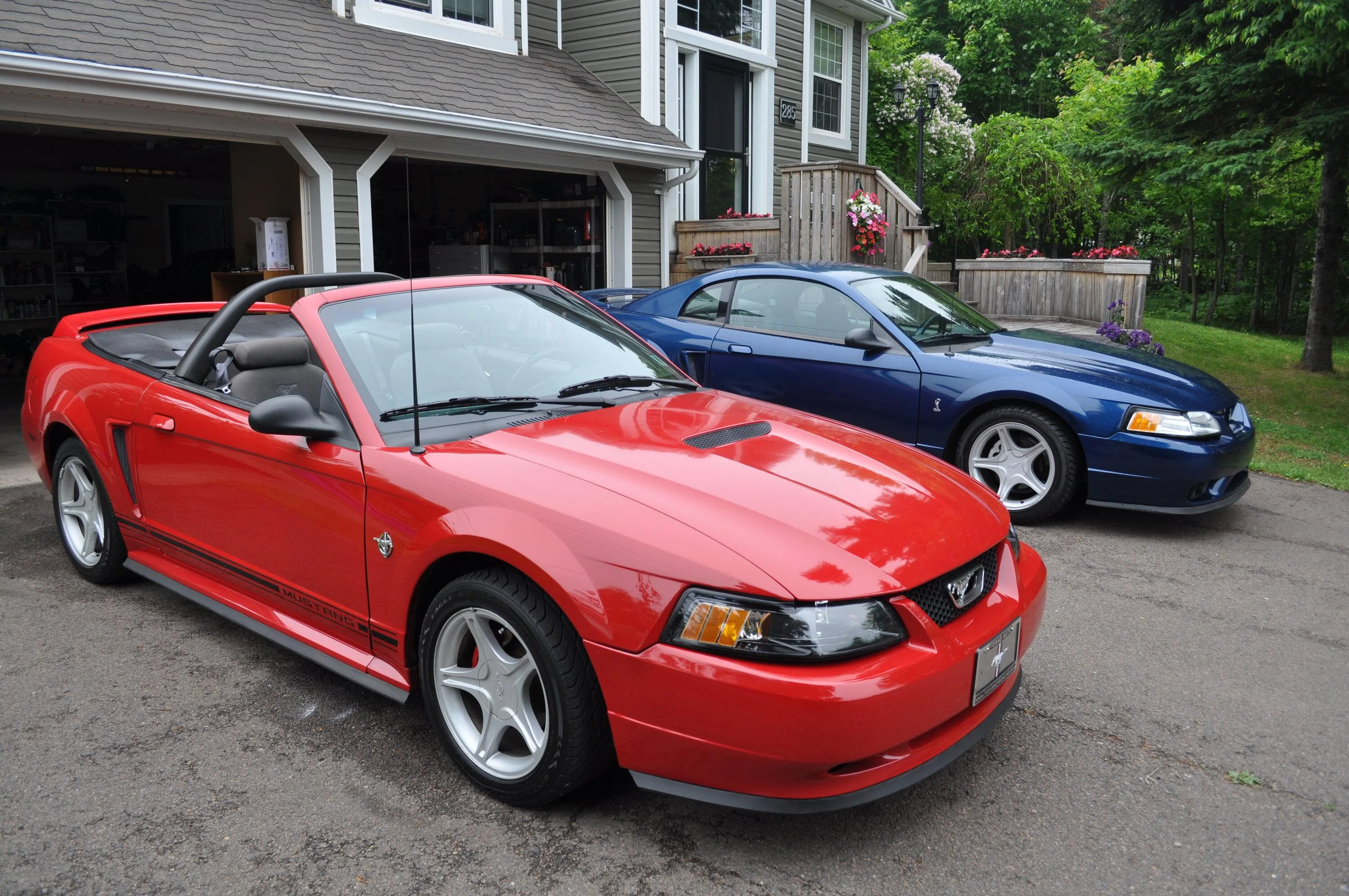 S650 Mustang How many Mustangs have you had? (a funny story) DSC_3234