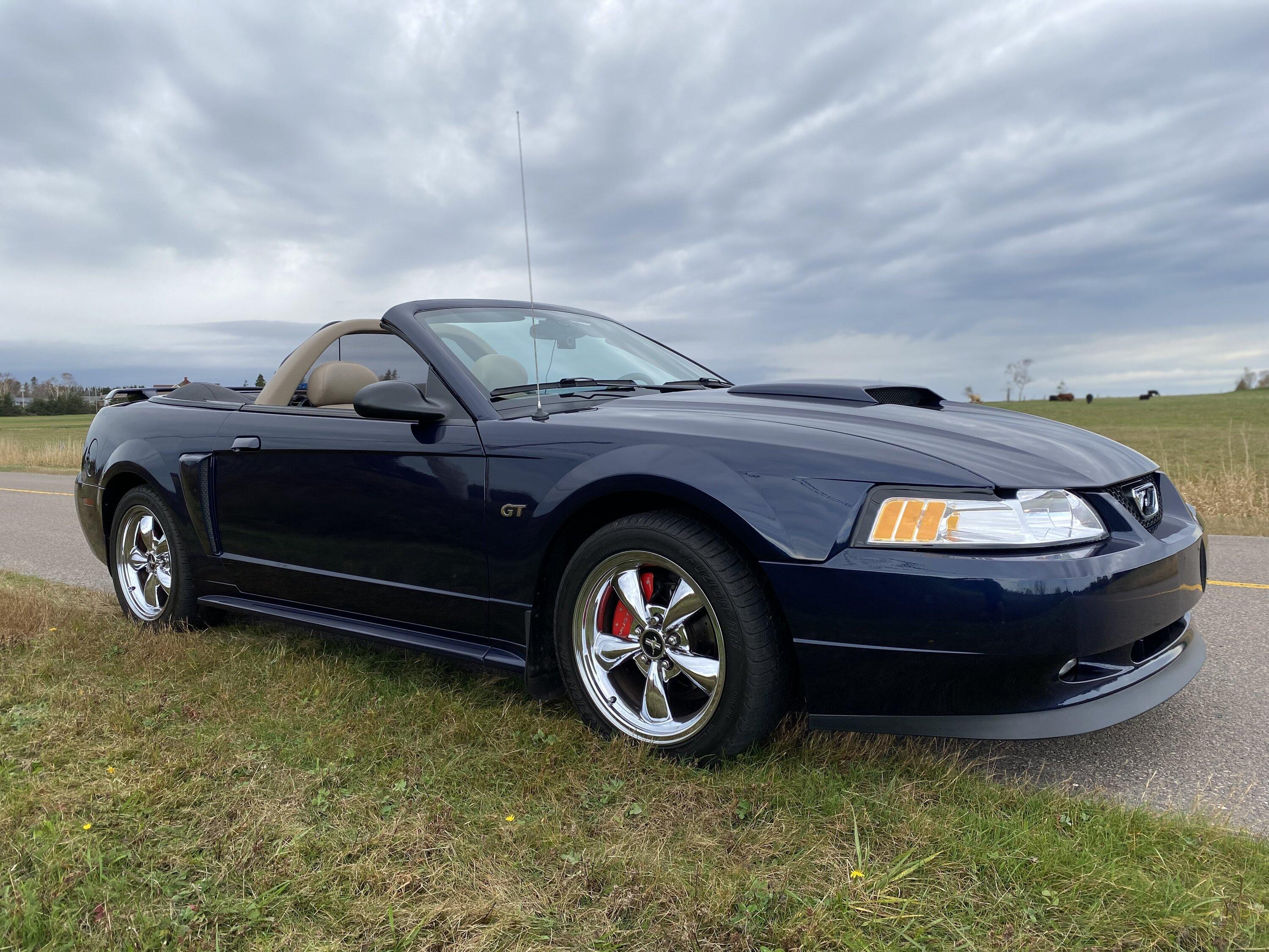 S650 Mustang How many Mustangs have you had? (a funny story) IMG_E1125.JPG