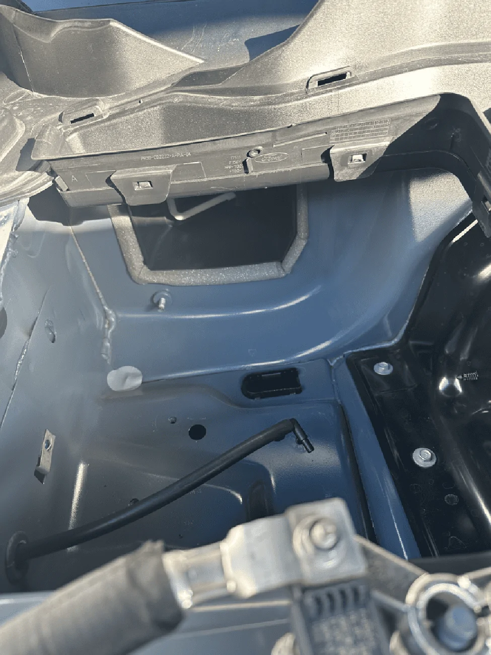 S650 Mustang Base Budget Bass Build! IMG_1454