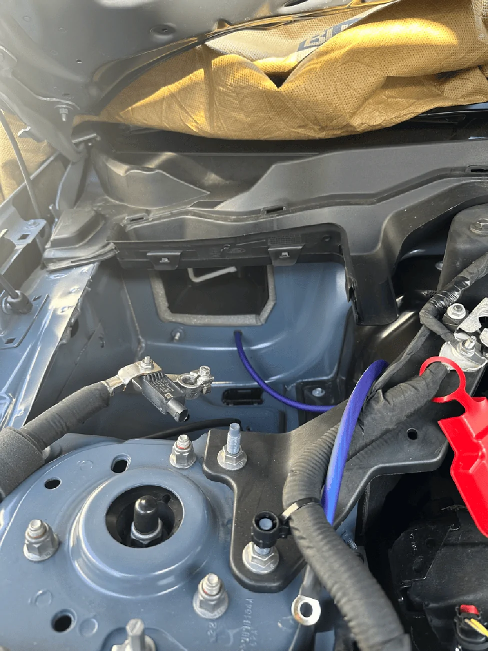S650 Mustang Base Budget Bass Build! IMG_1458