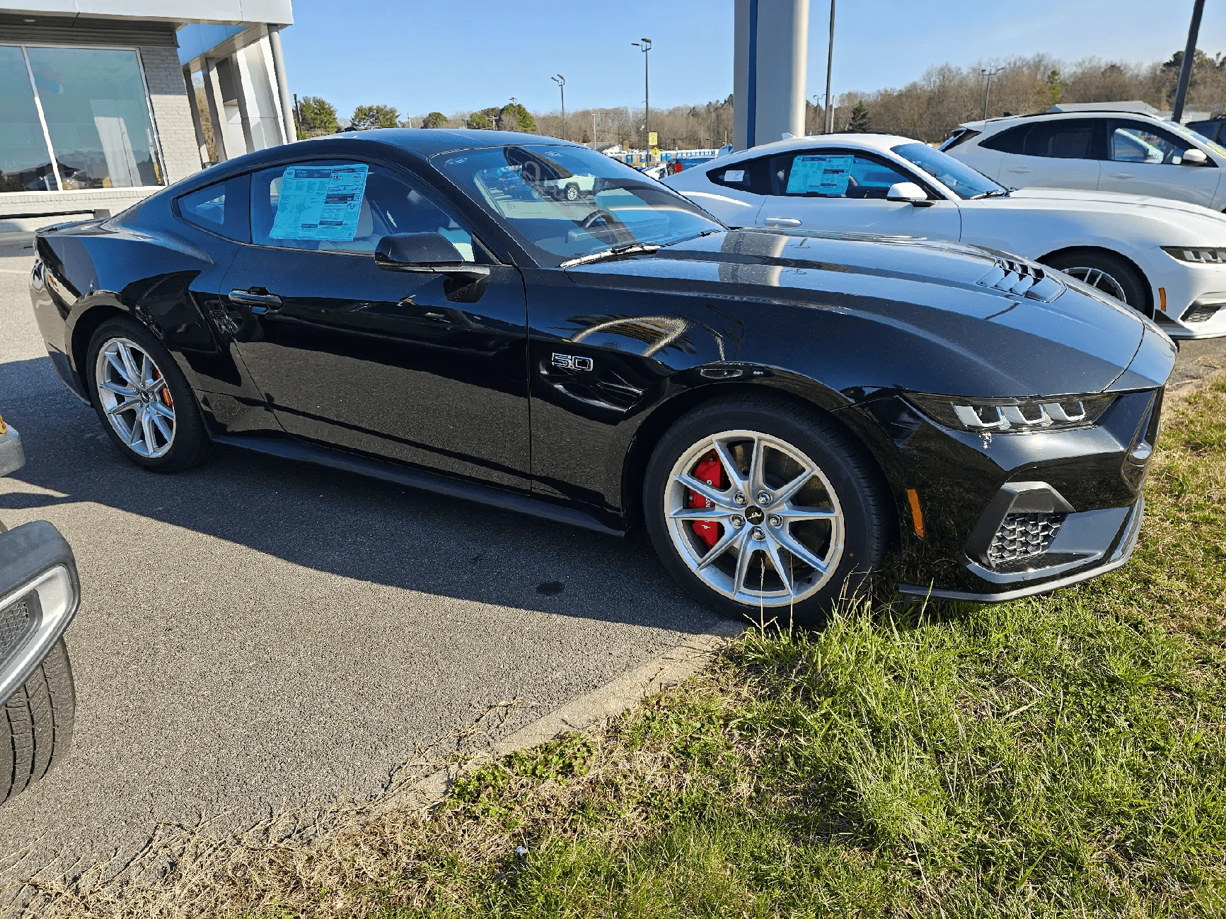 S650 Mustang Official SHADOW BLACK Mustang S650 Thread 20240225_151405