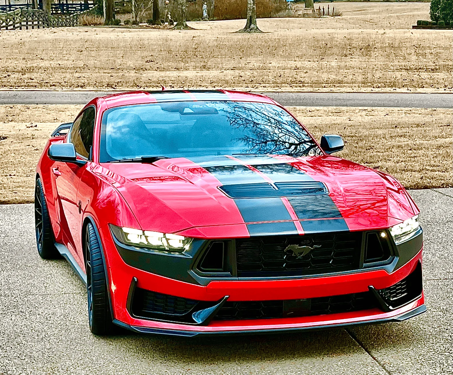 S650 Mustang It was time to stripe the car 886E9EFF-9615-4A01-A307-D5674CEBF991