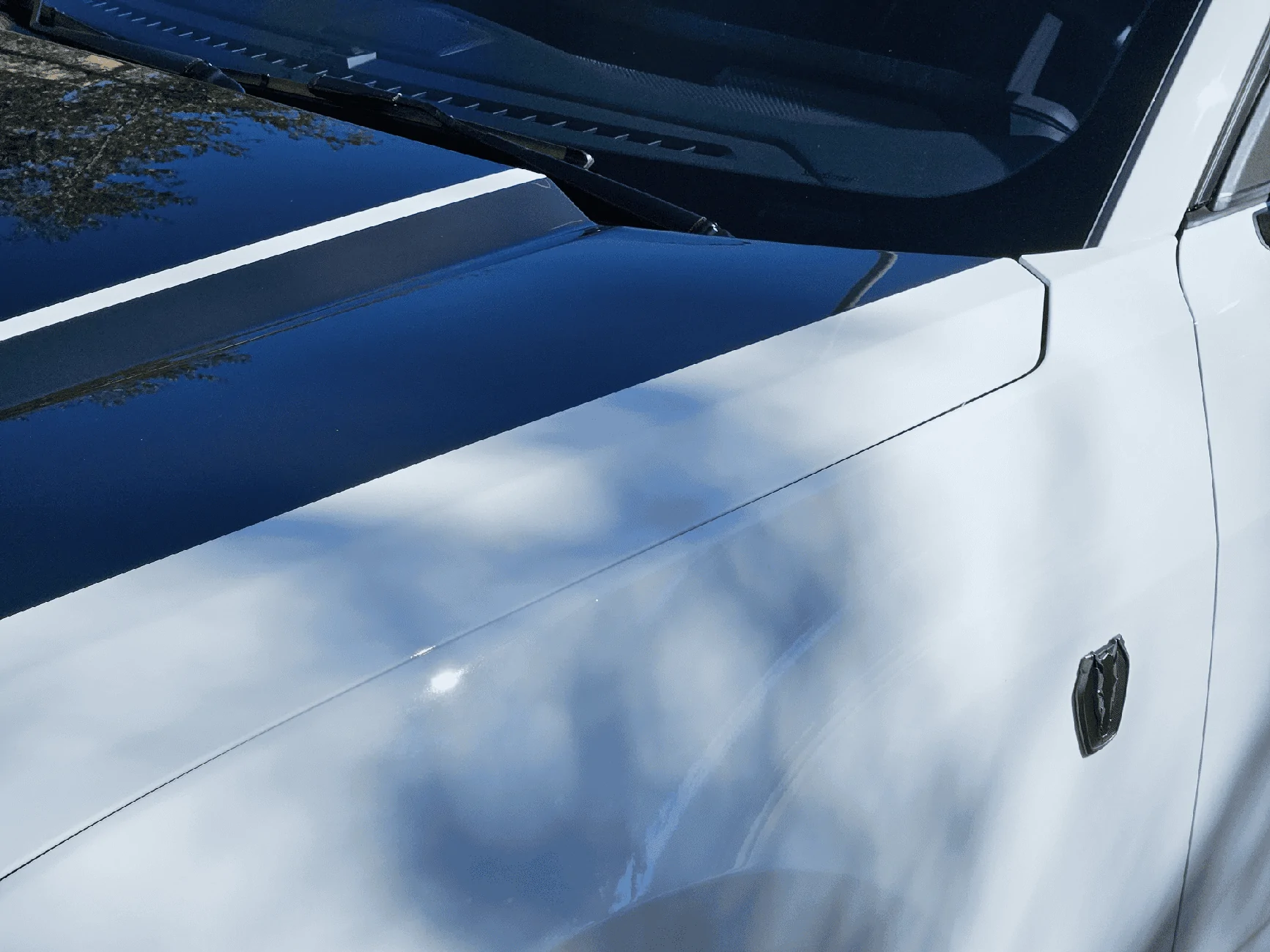 S650 Mustang Thoughts on Paint Protection - Wrap, Ceramic, Teflon,... 20240125_141145