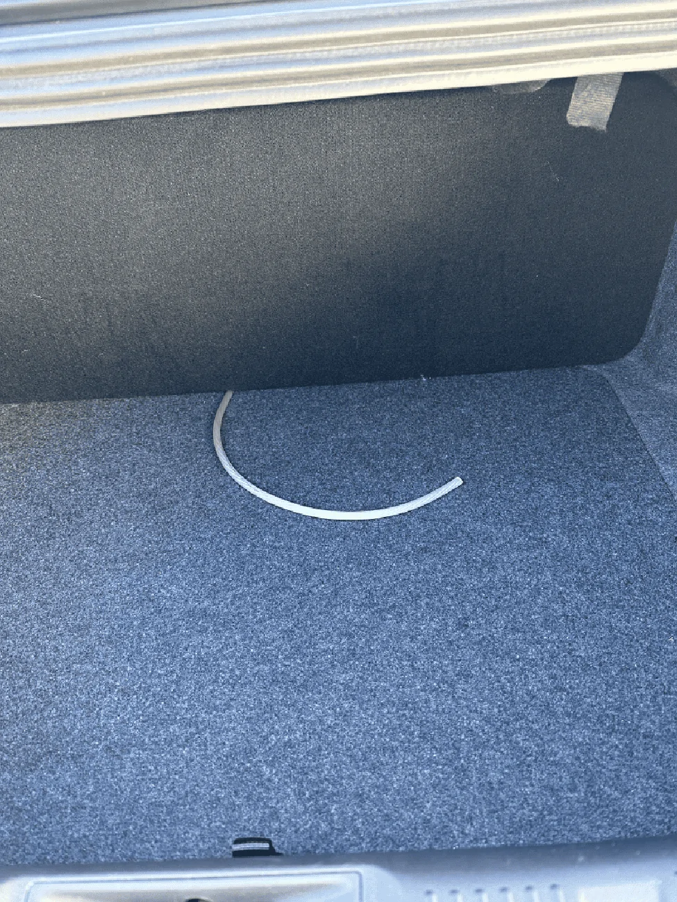 S650 Mustang Base Budget Bass Build! IMG_1471