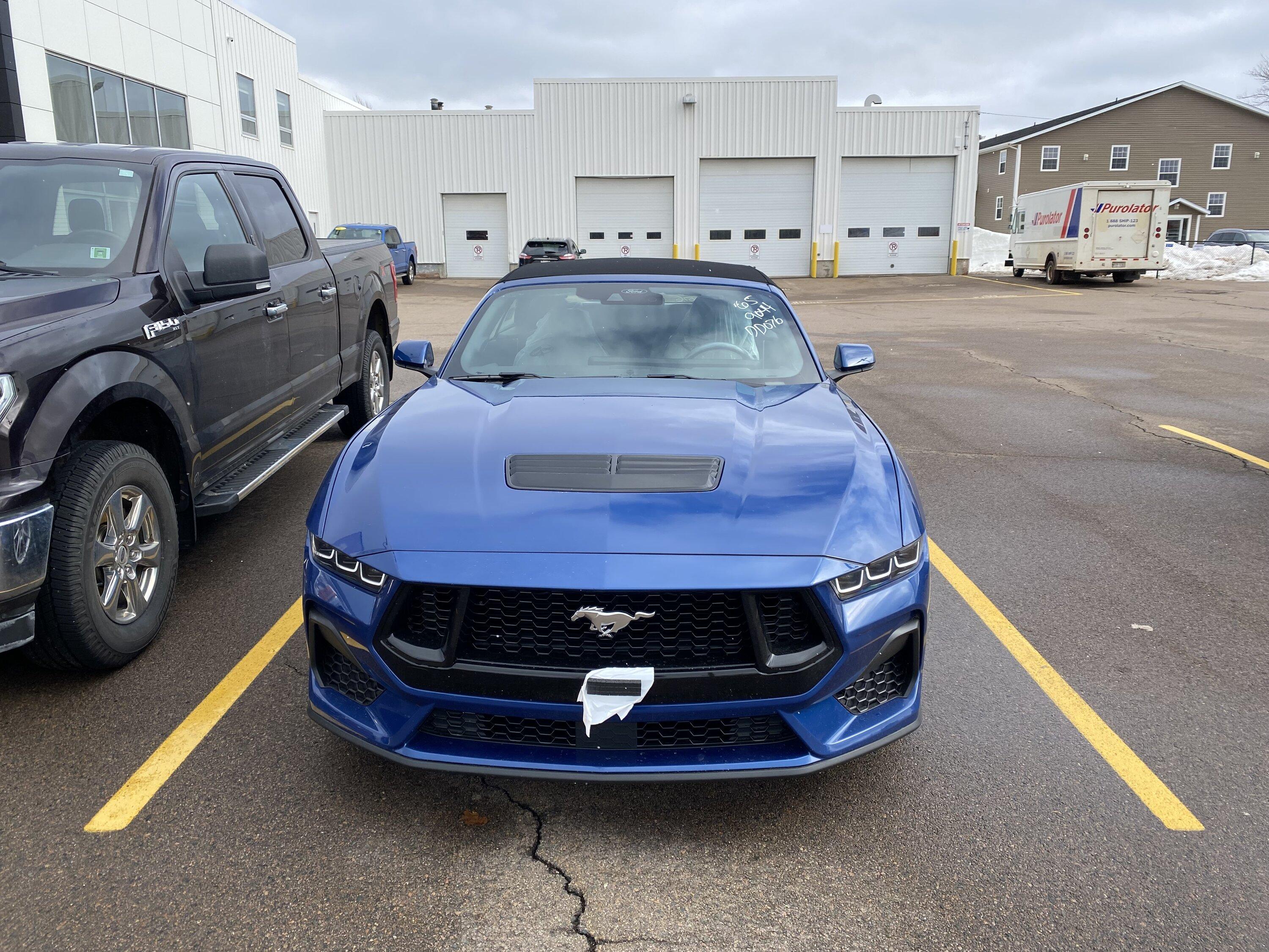 S650 Mustang Less than 2 Months from Ordering Until Arrival IMG_6320