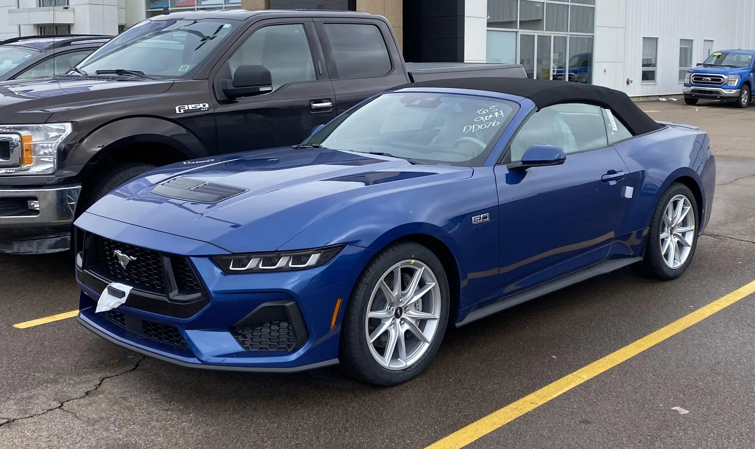 S650 Mustang Less than 2 Months from Ordering Until Arrival IMG_6330