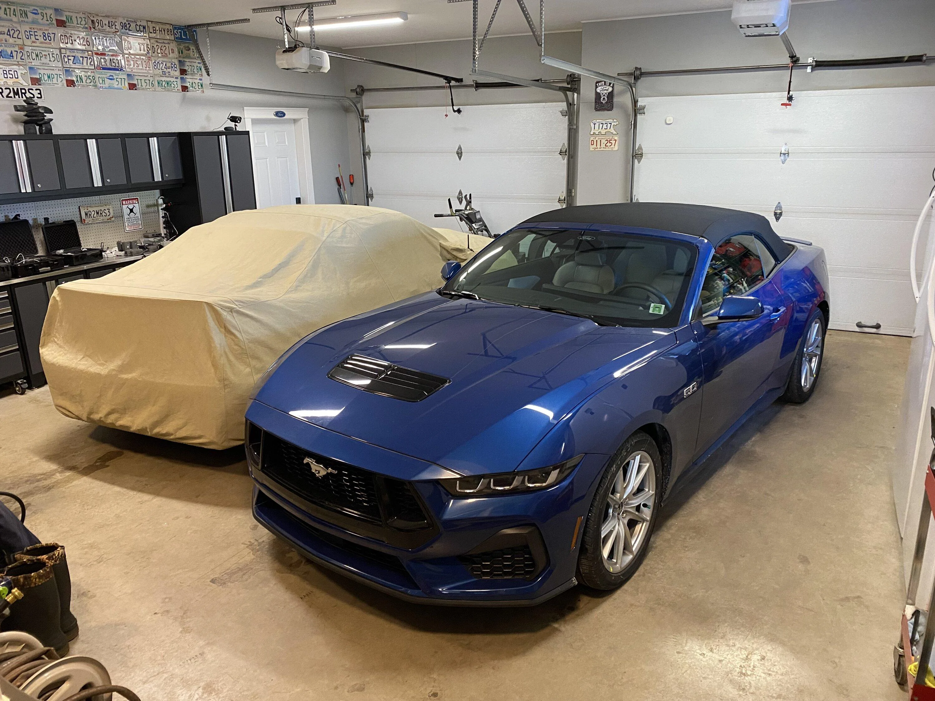 S650 Mustang Less than 2 Months from Ordering Until Arrival IMG_6347