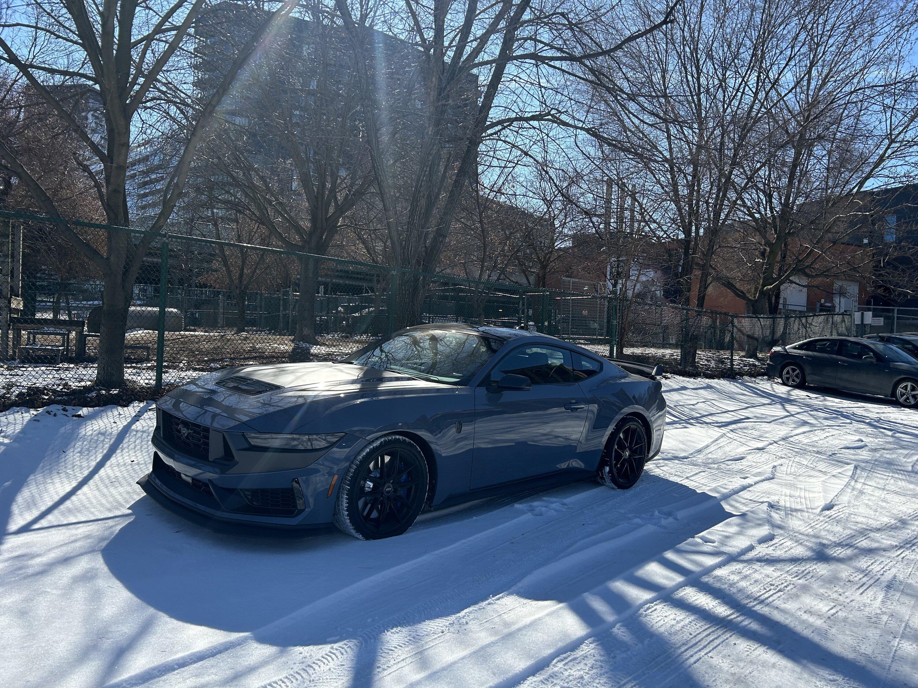 S650 Mustang Official VAPOR BLUE Mustang S650 Thread IMG_0234