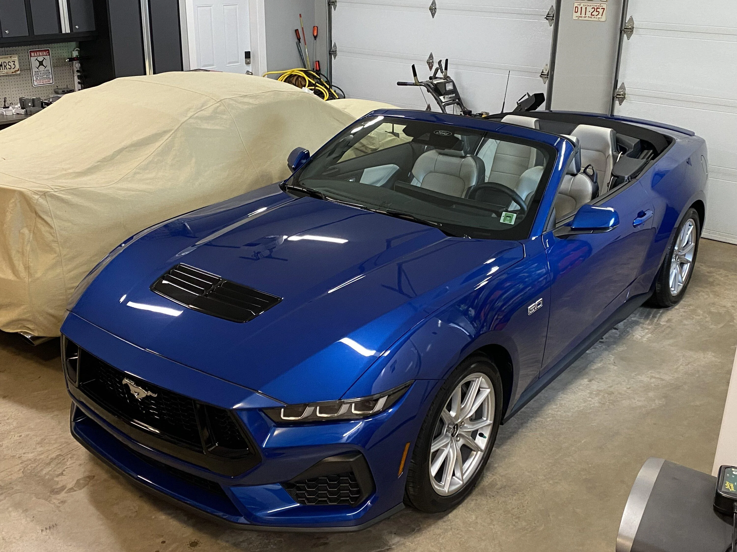 S650 Mustang Official ATLAS BLUE Mustang S650 Thread IMG_6393