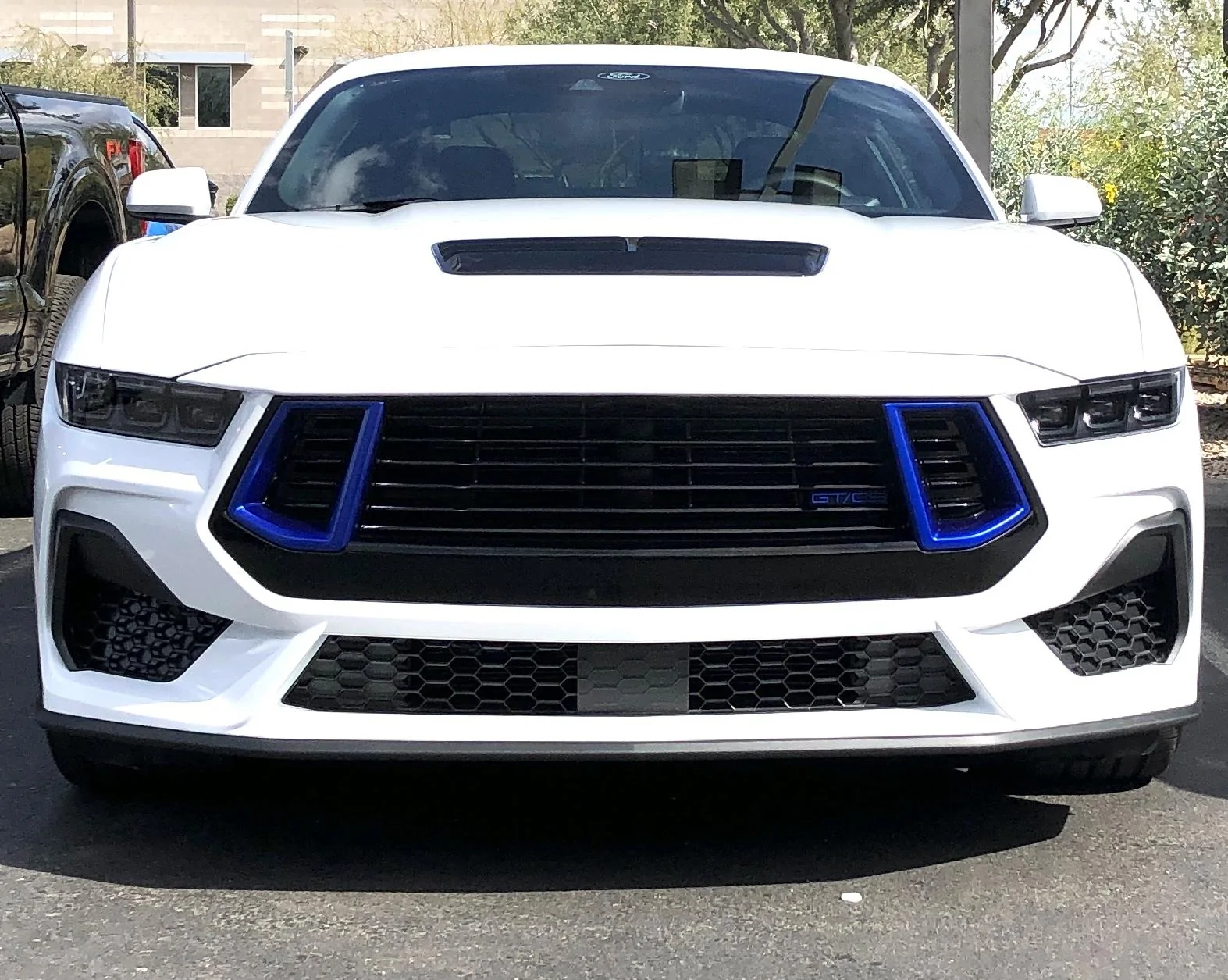 S650 Mustang Introductions & Welcome Thread 👋 IMG_5099