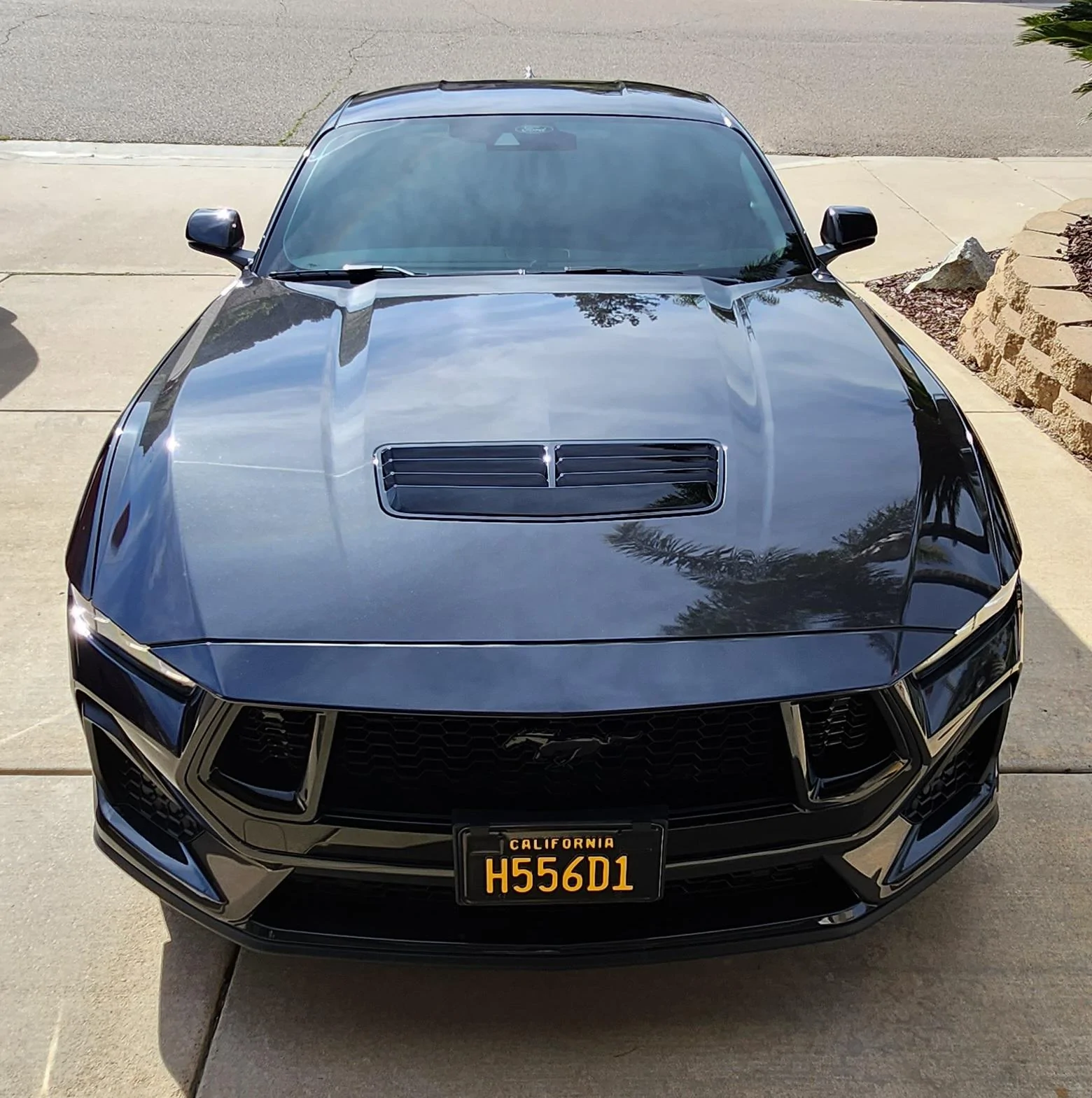 S650 Mustang Nite Pony Package on a Black Mustang PP 20240115_134838