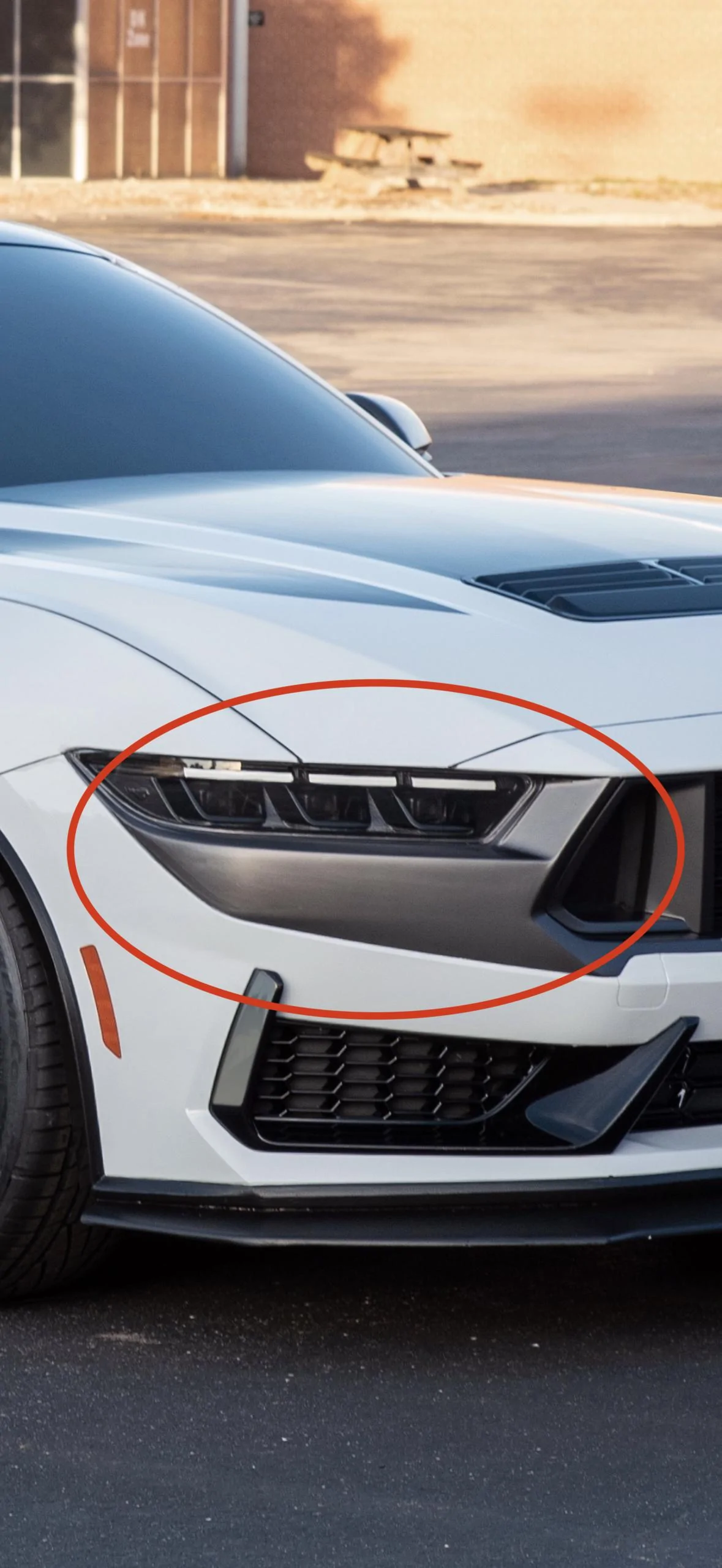 S650 Mustang Dark horse bumper trim paint 025A28AF-E1B1-4ABD-92D8-62E32D158922