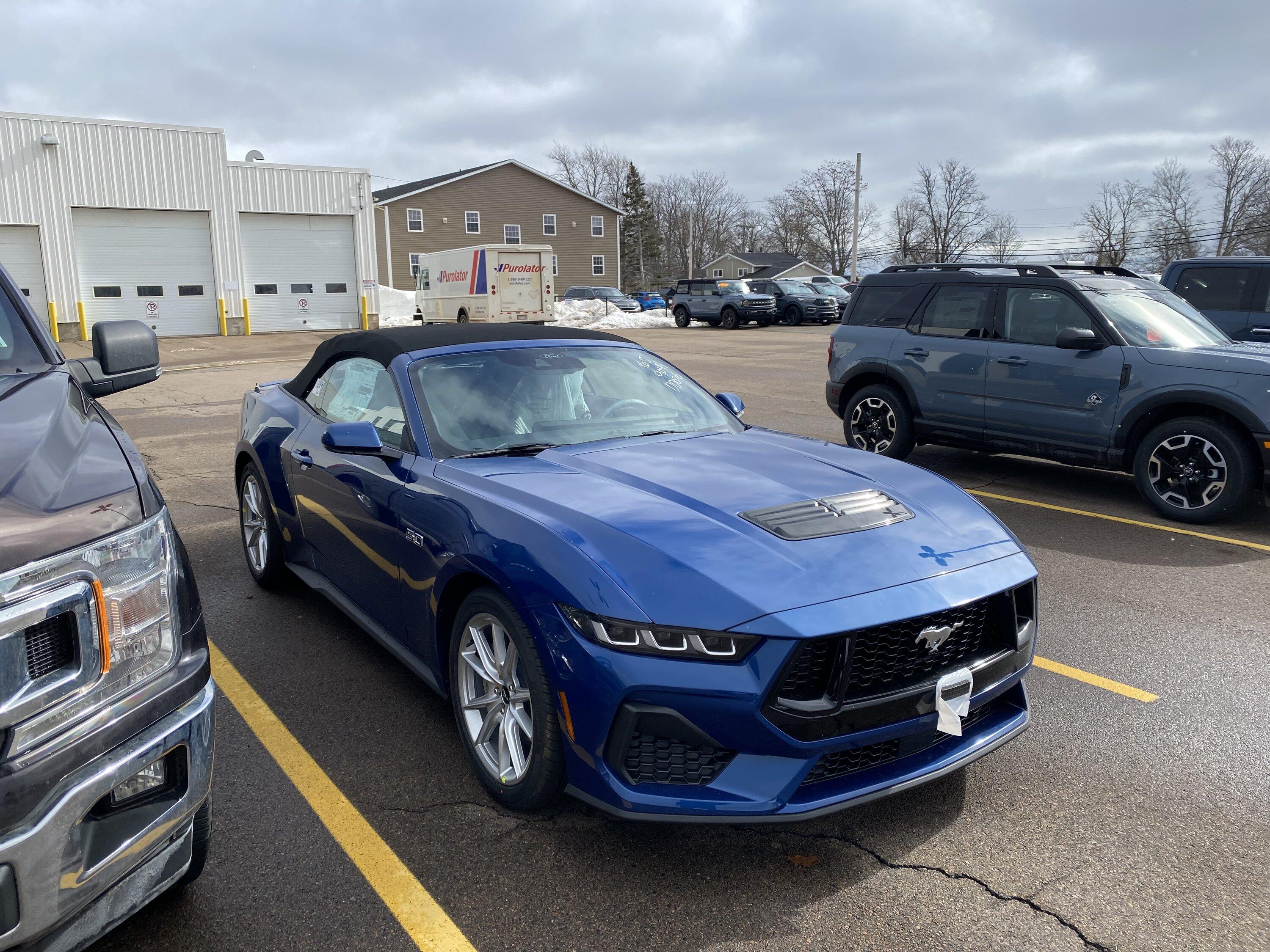 S650 Mustang Anyone in Canada have a 2024 on order? IMG_6316