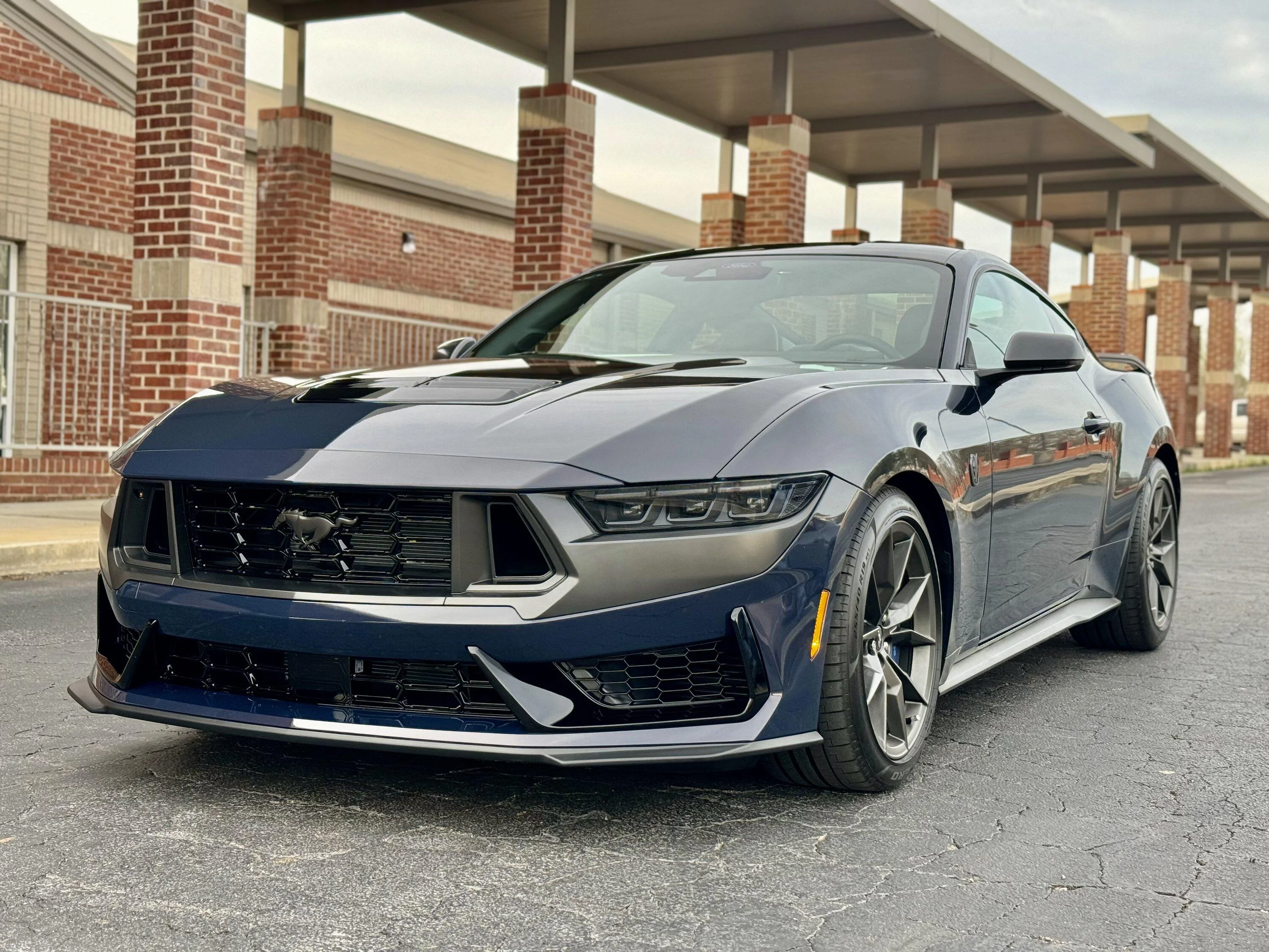 S650 Mustang Rescued a Dark Horse today. IMG_2141