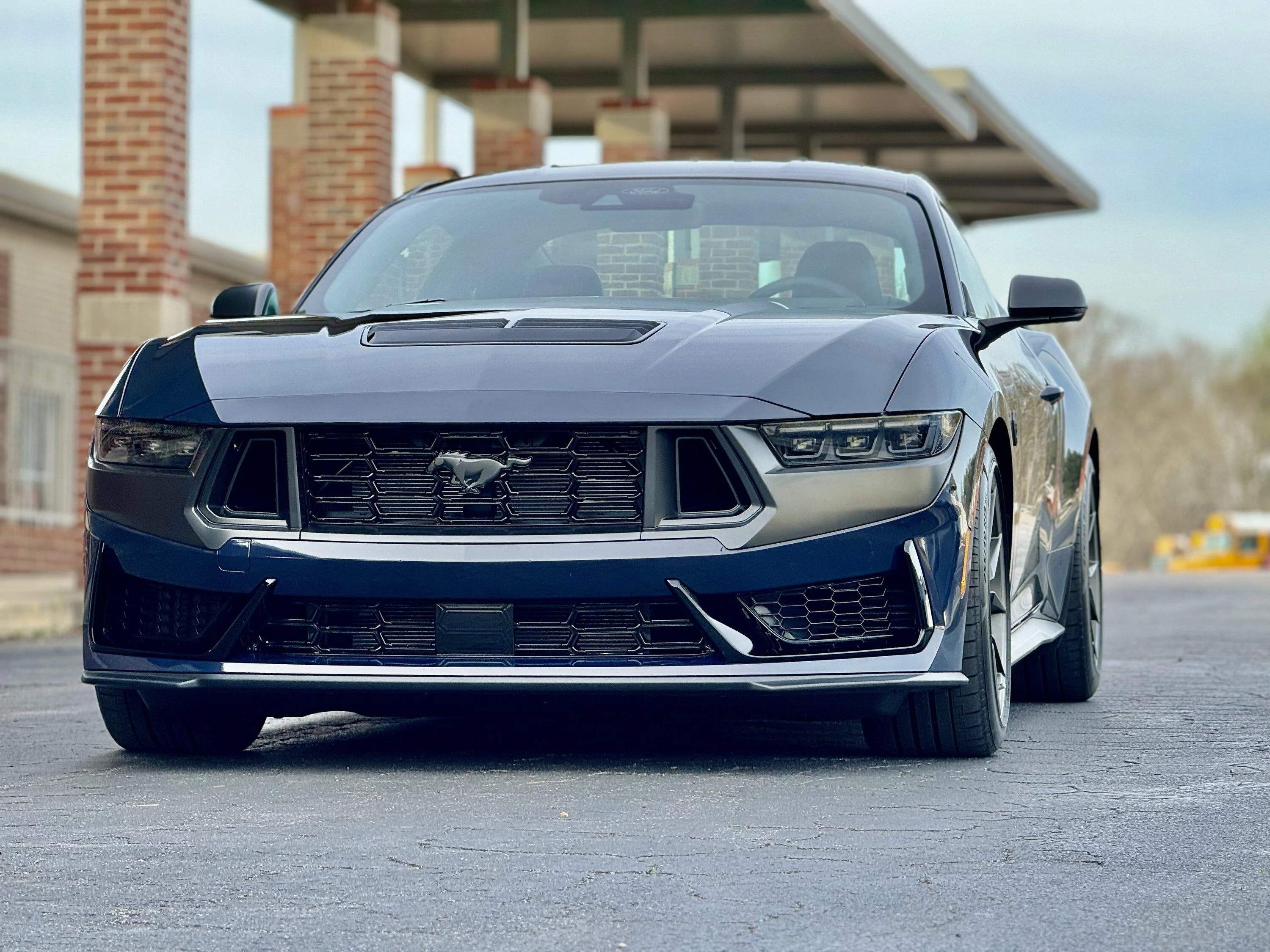 S650 Mustang Rescued a Dark Horse today. IMG_2158