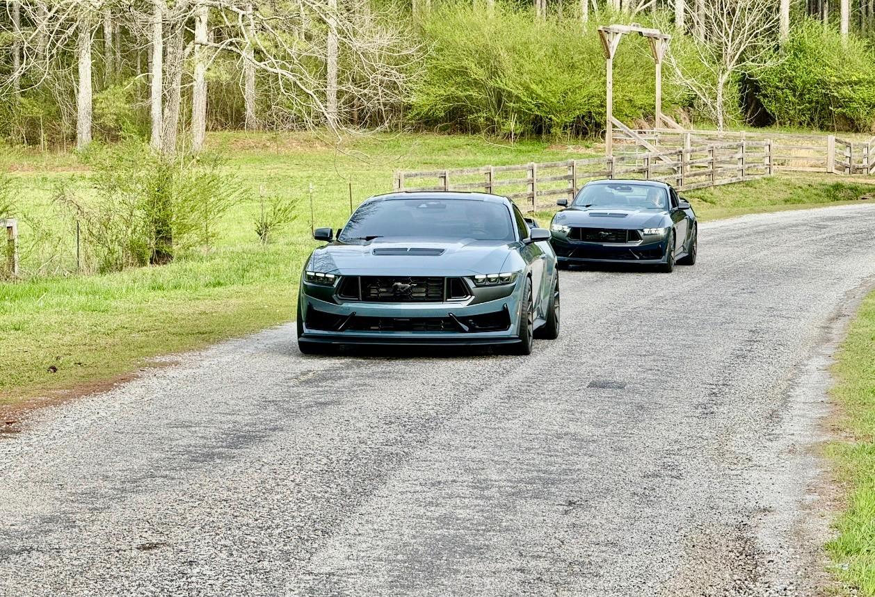 S650 Mustang Rescued a Dark Horse today. IMG_2226.JPEG