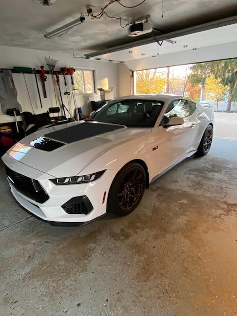 S650 Mustang Finally took some pics IMG_5058.JPG