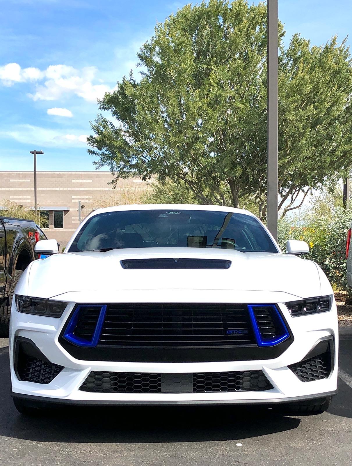 S650 Mustang Official OXFORD WHITE Mustang S650 Thread IMG_5098